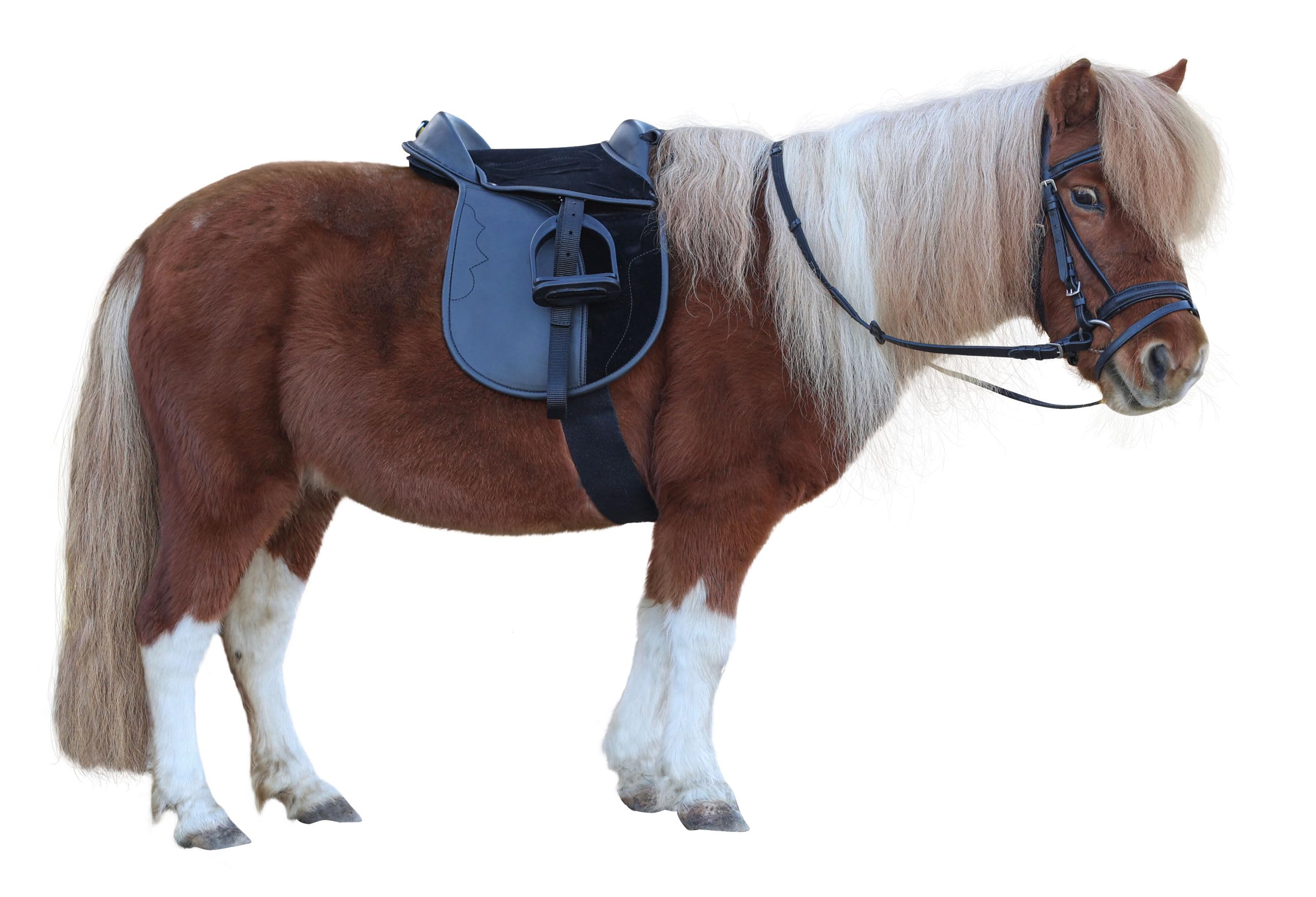 Covalliero Juego de Silla de Montar Economy, Pony, Negro, 15 Pulgadas, 34,5 cm de Ancho, Material sintético, Caballos, Antideslizante, Ajustable Individualmente