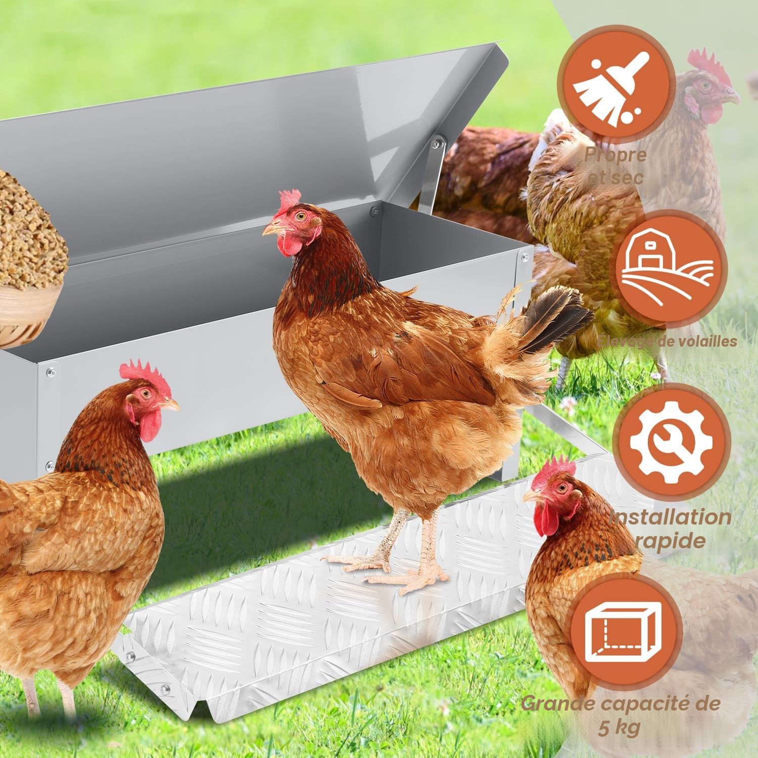 Mangeoire automatique pour poules 5 kg - Distributeur de nourriture avec pédale automatique, nourriture pour volailles, imperméable et protégé contre les rats