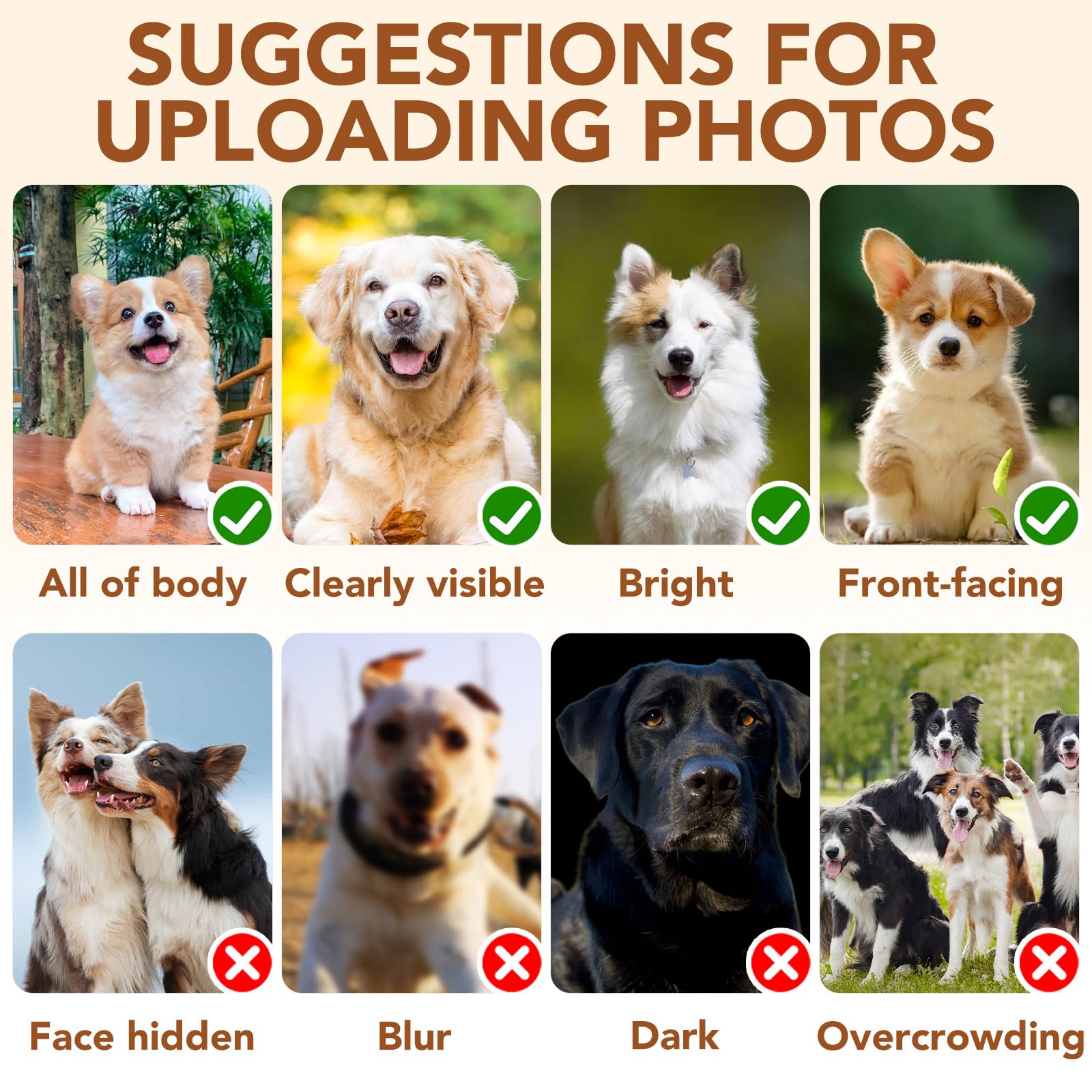 View 3