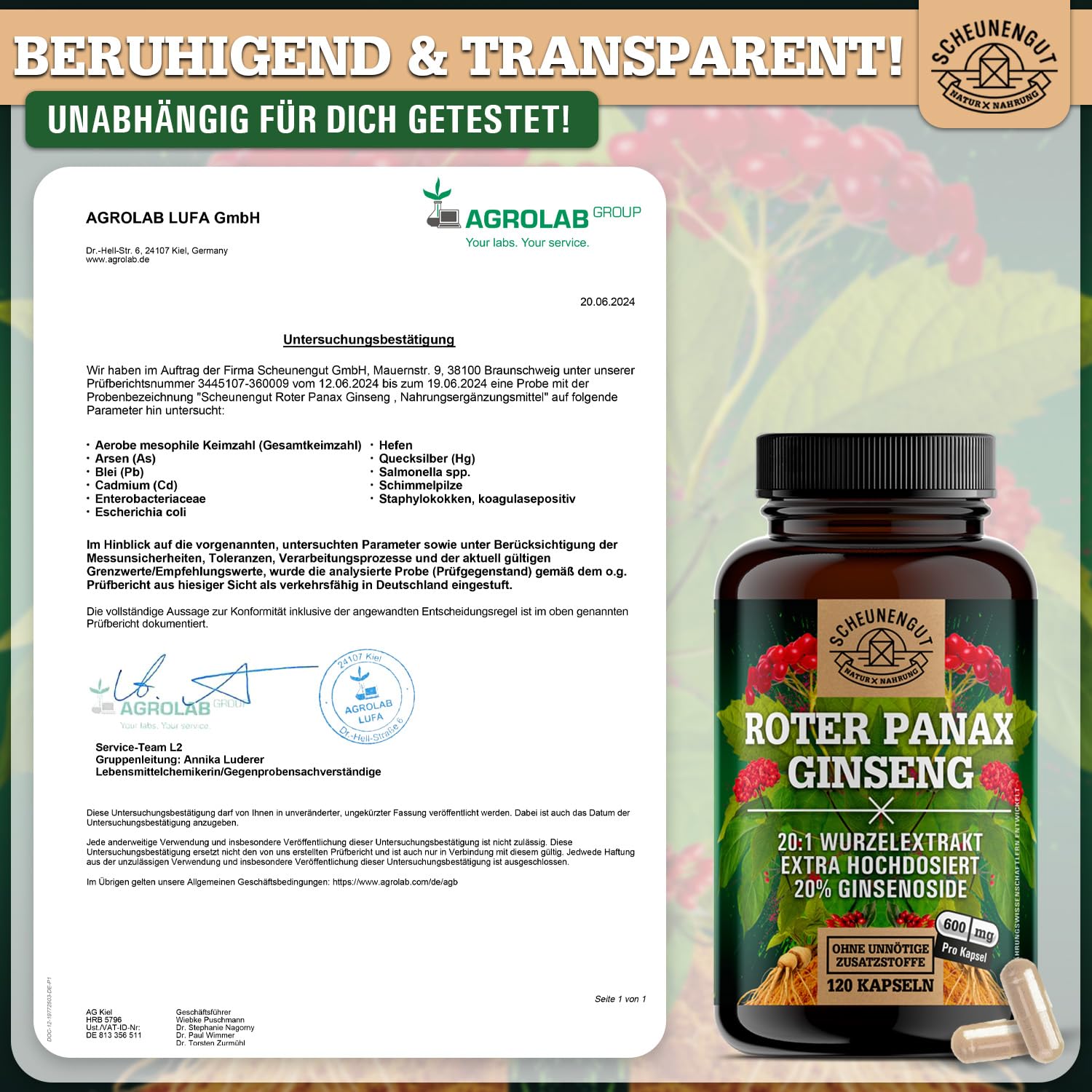 Roter Panax Ginseng Kapseln -Hochdosiert- 20% Ginsenoside DE SCHEUNENGUT® | WICHTIG: 20:1 Roter Panax Extrakt (=36000mg Ginsengwurzel je Tagesdosis) - Ginseng Kapseln Hochdosiert- Vegan