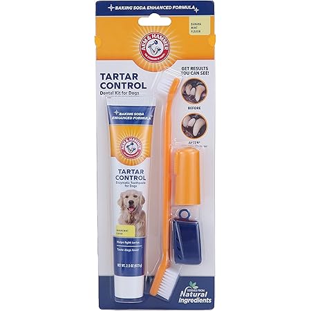 amazon dog toothpaste