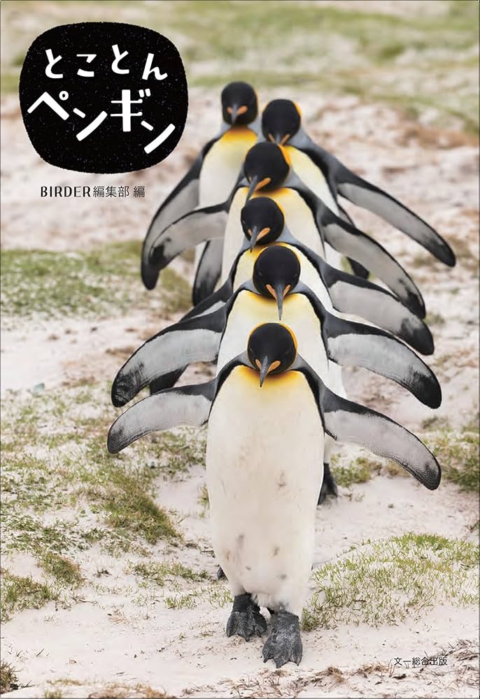 とことんペンギン | BIRDER編集部 |本 | 通販 | Amazon