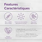 Webber Naturals Turmeric Curcumin with Black Pepper, High Absorption Formula for Joint & Inflammation Support, Antioxidant Supplement, 60 Capsules, Vegan