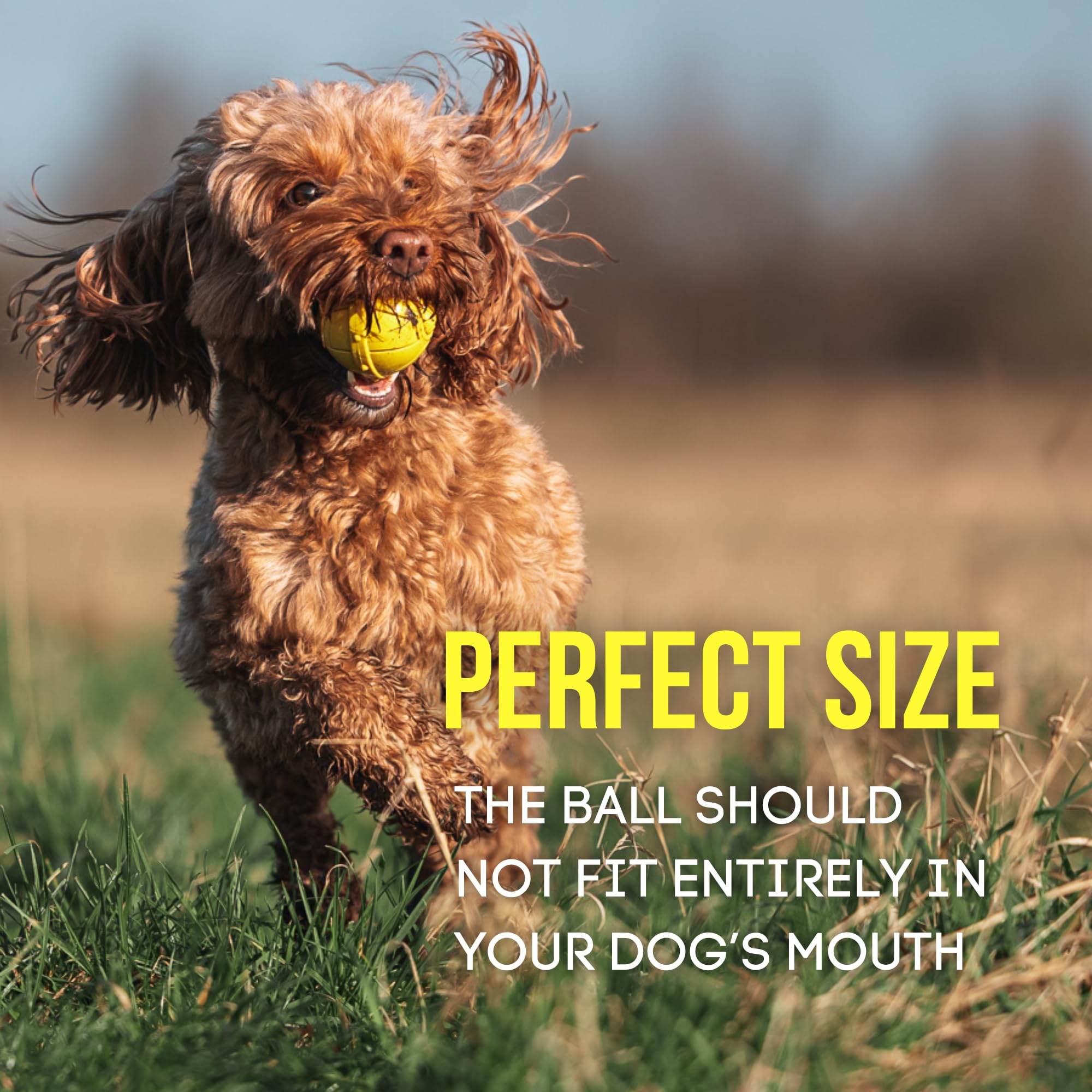 Fenrir, Dog Ball, High Bouncing Yellow Rubber Ball for Fetch & Recall, 2.5 Inch Durable Floating Dog Toy - Image 4
