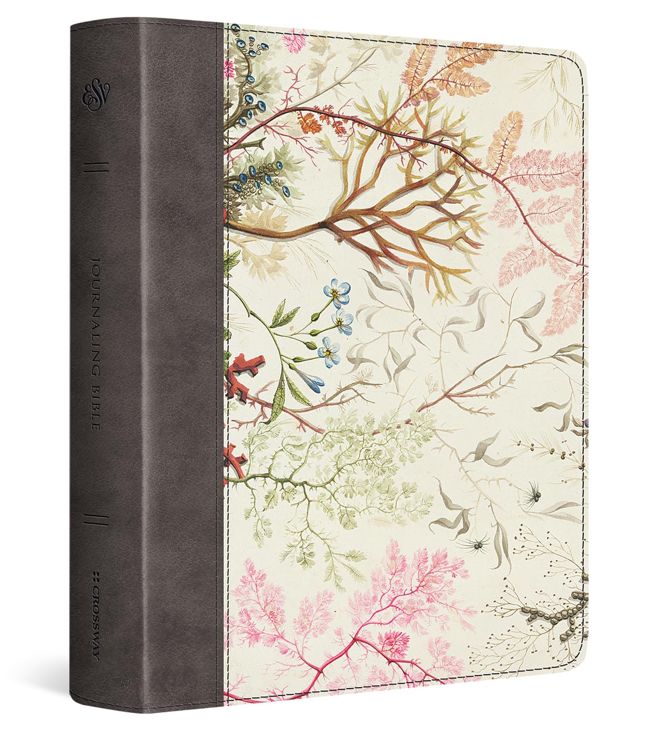ESV Journaling Bible by  Not Available - 9781433565410