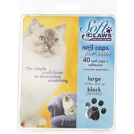 Cat claw caps amazon Clearance
