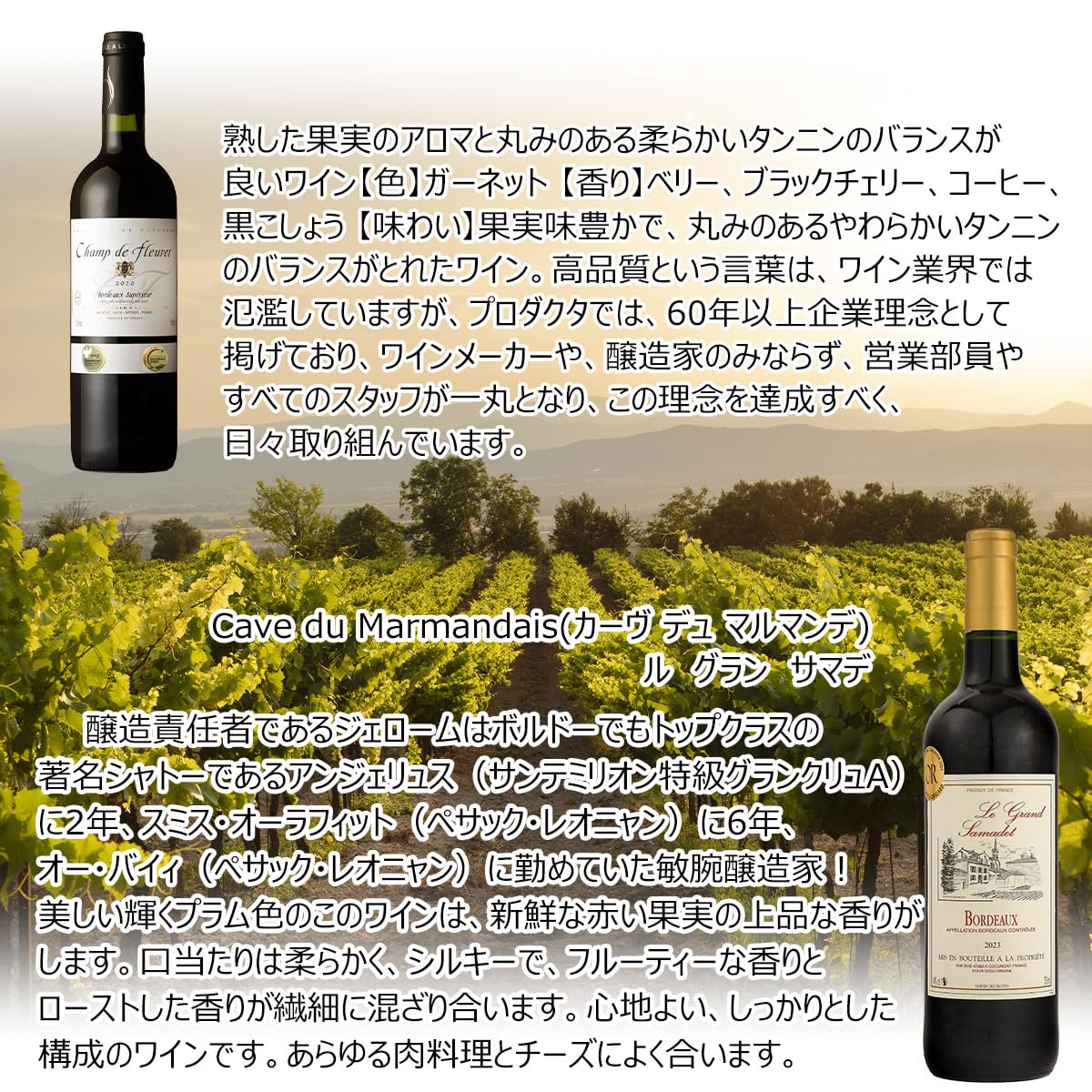 Amazon.co.jp: 新 赤ワインセット 旨い！【“ワイン通”向け】 フランス