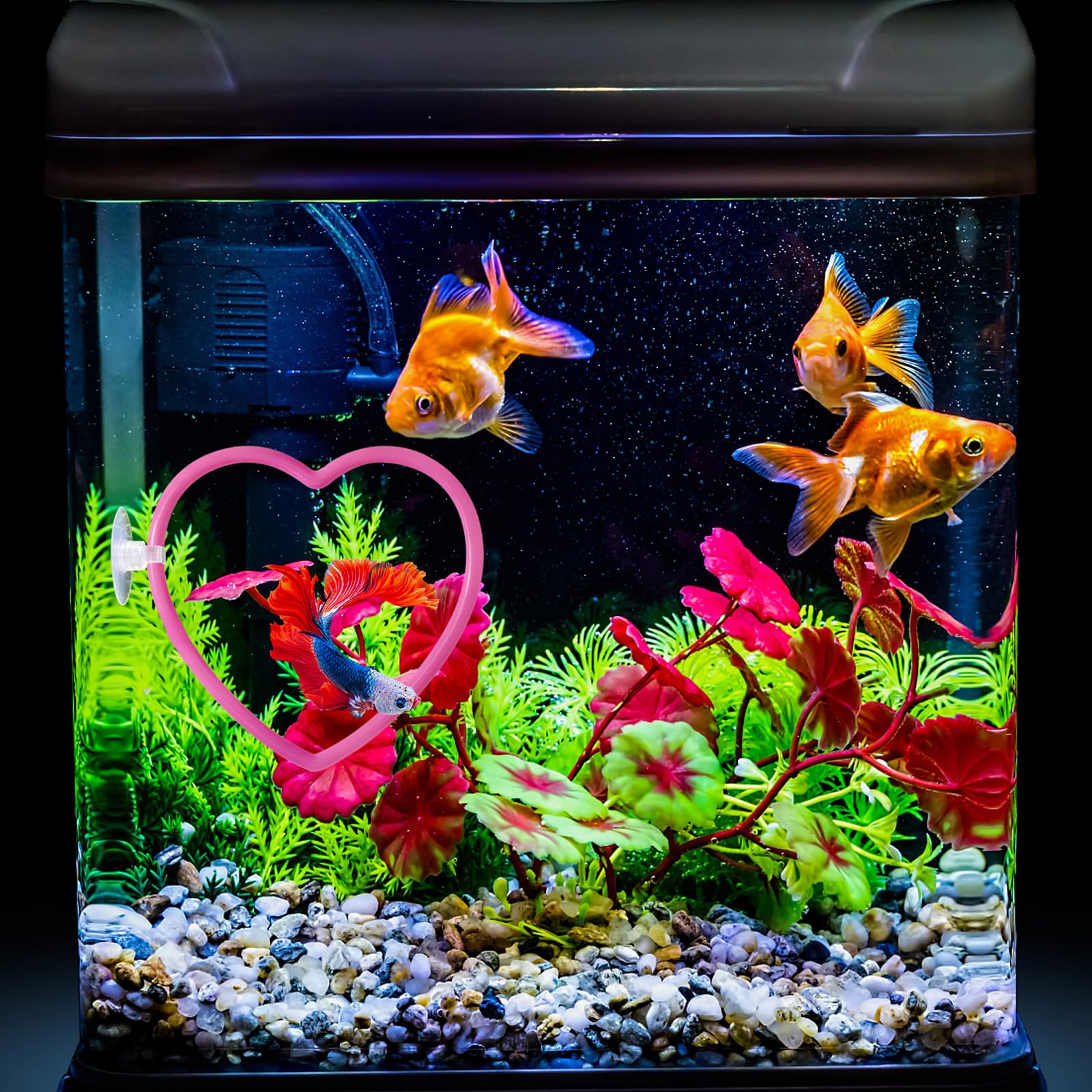 Accessoires de décoration pour Aquarium à Poissons Betta en Forme de cœur, Roses pour Poissons Betta, Accessoires d'aquarium Roses au Design et résistant