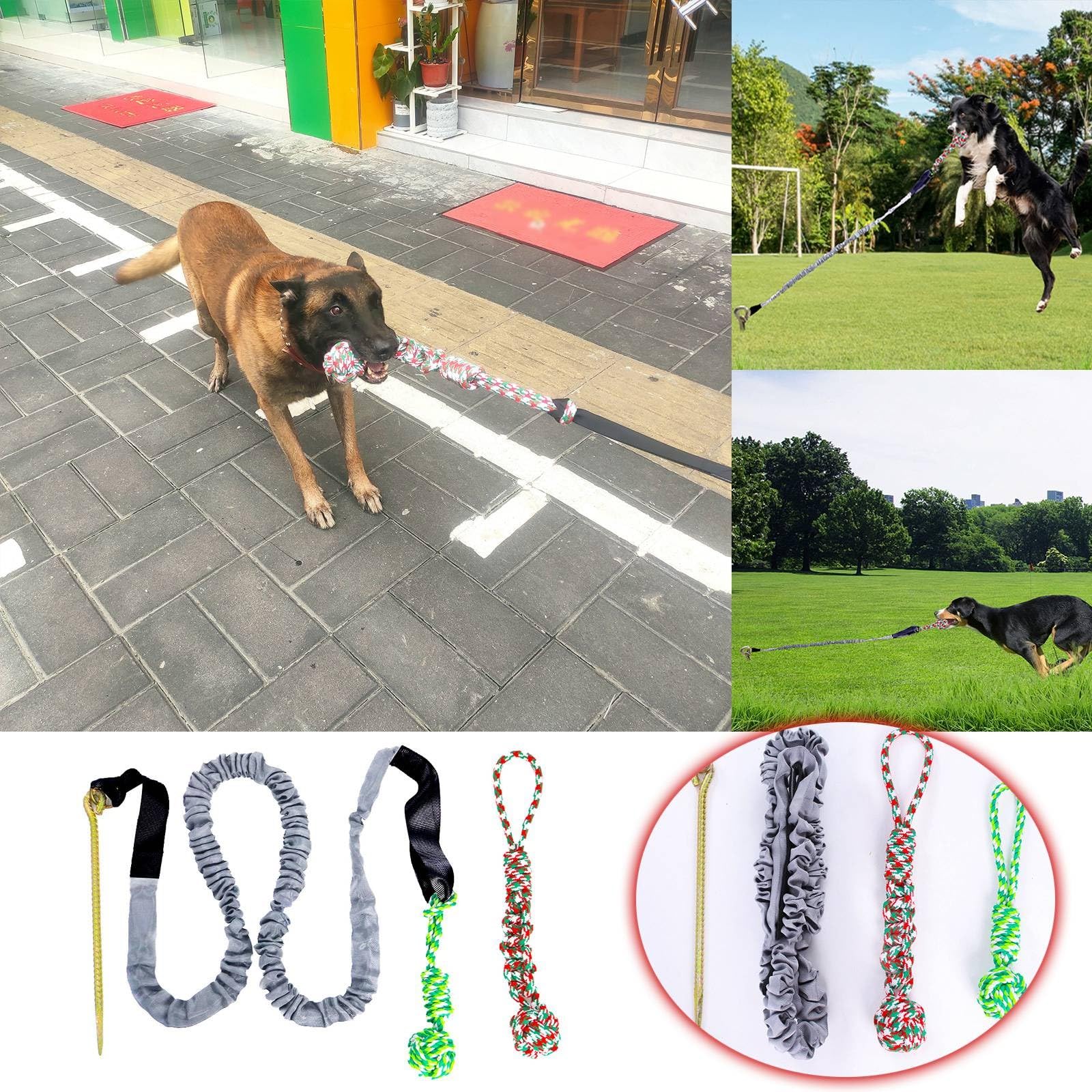 Hundespielzeug Hundezähne knirschen im Freien Tauziehen geknotetes Seil Bungee Hundespielzeug Outdoor Baumstumpf Seilspielzeug