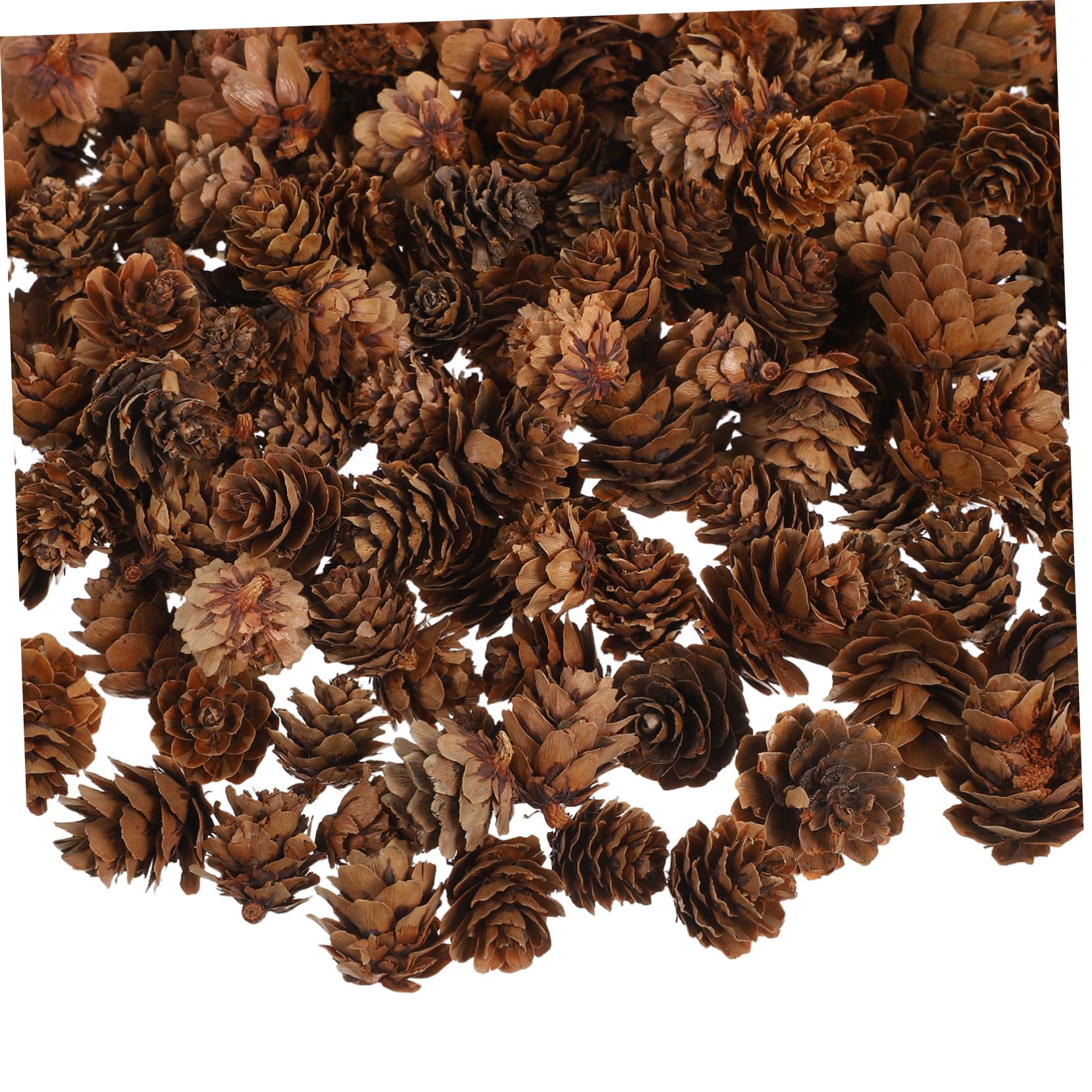 Zerodeko Tannenzapfen-Ornamente für Weihnachten Thanksgiving und Herbstdekoration Natürliche Mini-kiefernzapfen als Vasenfüller für DIY-bastelarbeiten Langlebig und Einfach Anzuwenden