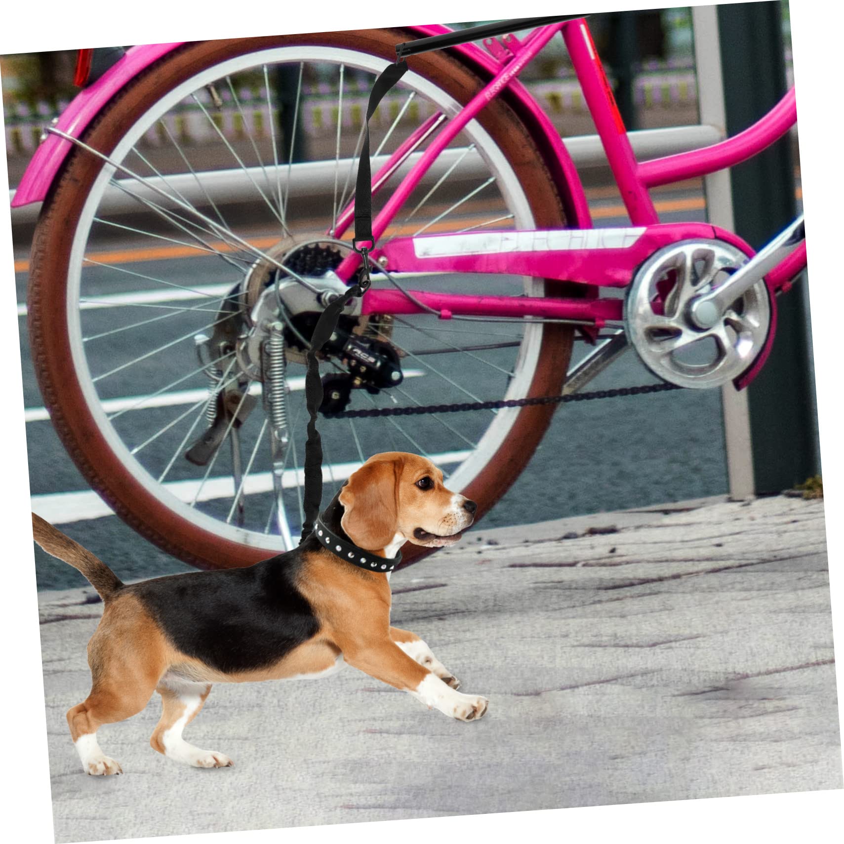 Garneck Guinzaglio Per Cani in Corda Guinzaglio Da Traino Per Animali Domestici Corda Da Trazione Portatile Per Cuccioli e Bici