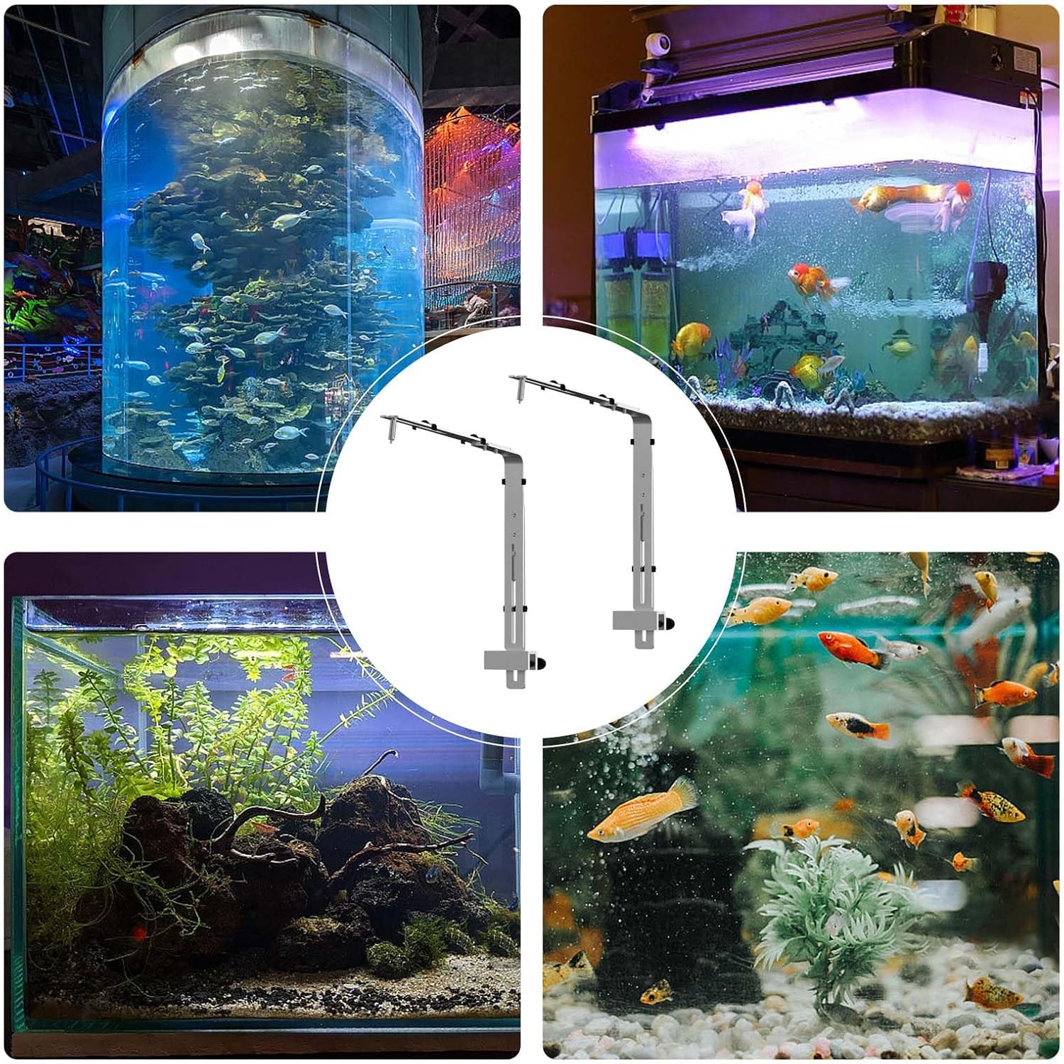 Thin 2.8mm Silver Fish Cistern Lamp Parenthesis Permanent Aluminum Mixture Building with Tallness for Flexible Marinepark Use Modifiable Marinepark Light Stand