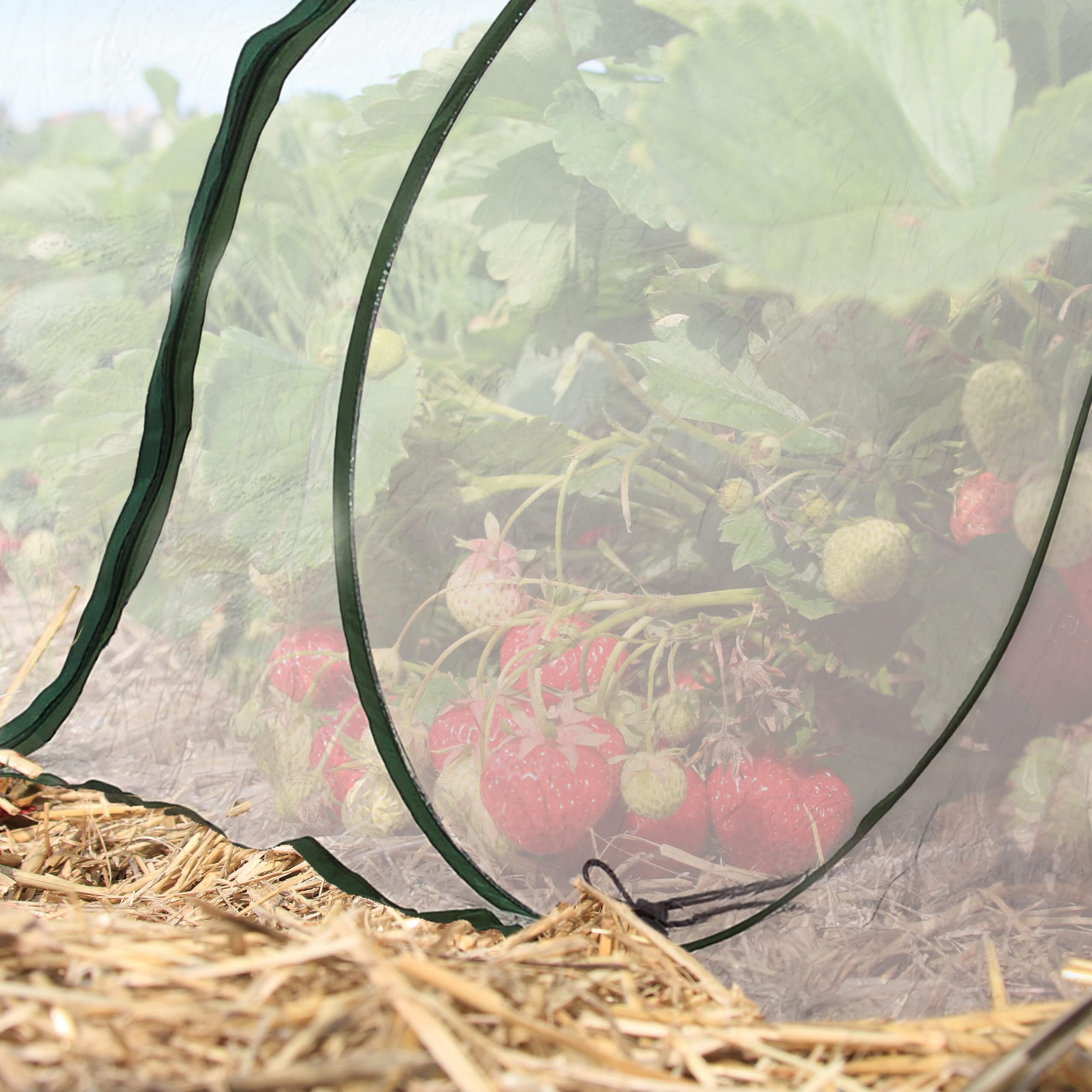 Relaxdays Tunnel de Croissance Pliable, système « Pop up », 3,5 m, Filet antiparasitaire, pour légumes et Fraises, Blanc