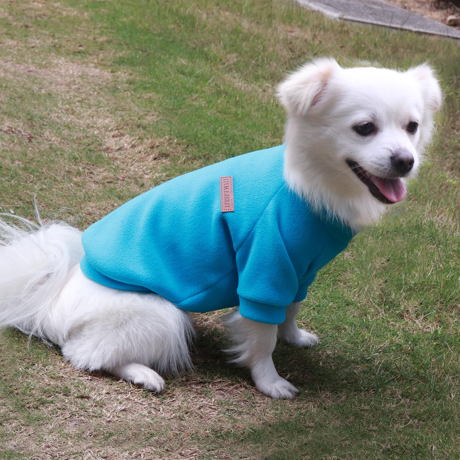HuaLiSiJi Dog Jumper Dog Hoodie Puppy Fleece Jumper Chihuahua Clothes - Image 4