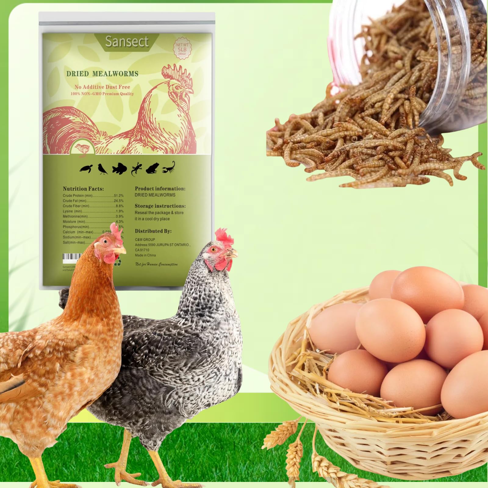 SANSECT 2,3 kg di vermi secchi per polli, anatre, uccelli selvatici, cibo per rettili | Dolcetti ad alto contenuto proteico, 100% naturali, non OGM, per polli, anatre, tartarughe e rettili e galline ovaiole