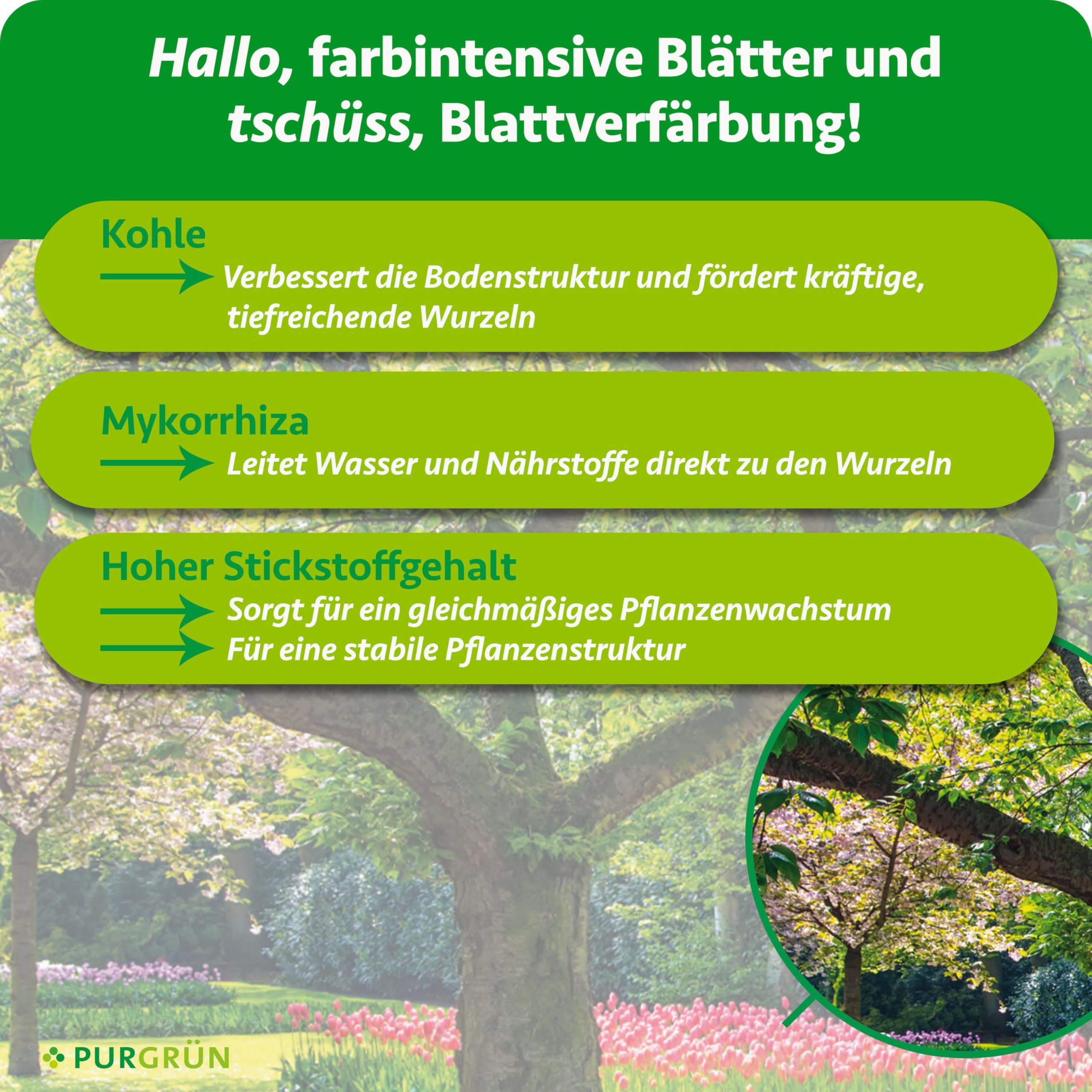 Bio-Baumdünger 1 kg – Gesundes Wachstum dank Mykorrhiza – Pflanzenkohle verbessert die Bodenqualität – Extra Magnesium für sattgrünes Laub ohne Verfärbungen – Granulat für 2-3 Bäume