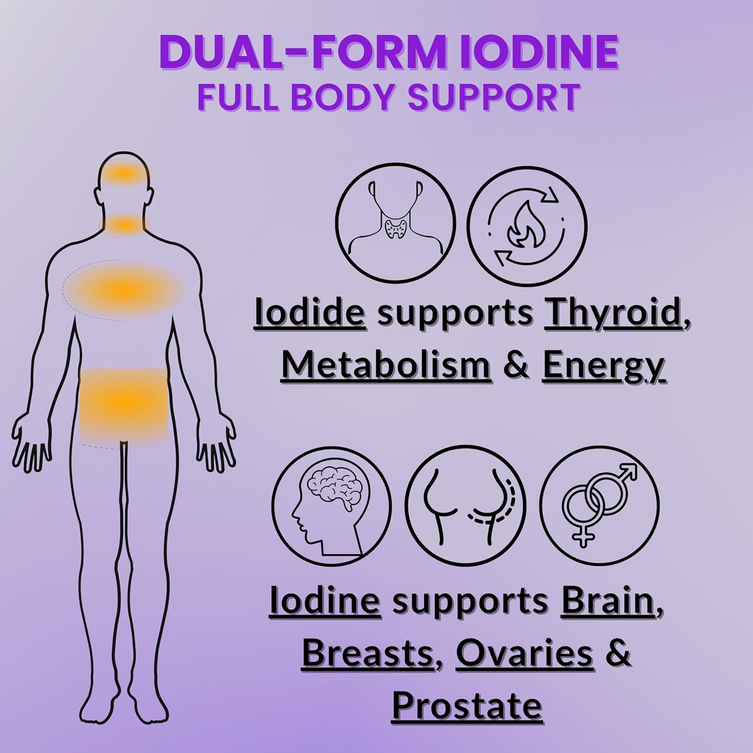 Lugol's Iodine Tablets 12.5mg x 90 ct - Reddish Brown Stable Iodine + Potassium Iodide Formula, Masks Bitter Liquid Taste, Thyroid Support, Detox, Breast Health - No Preservative, Non-GMO, Gluten-free - Image 6