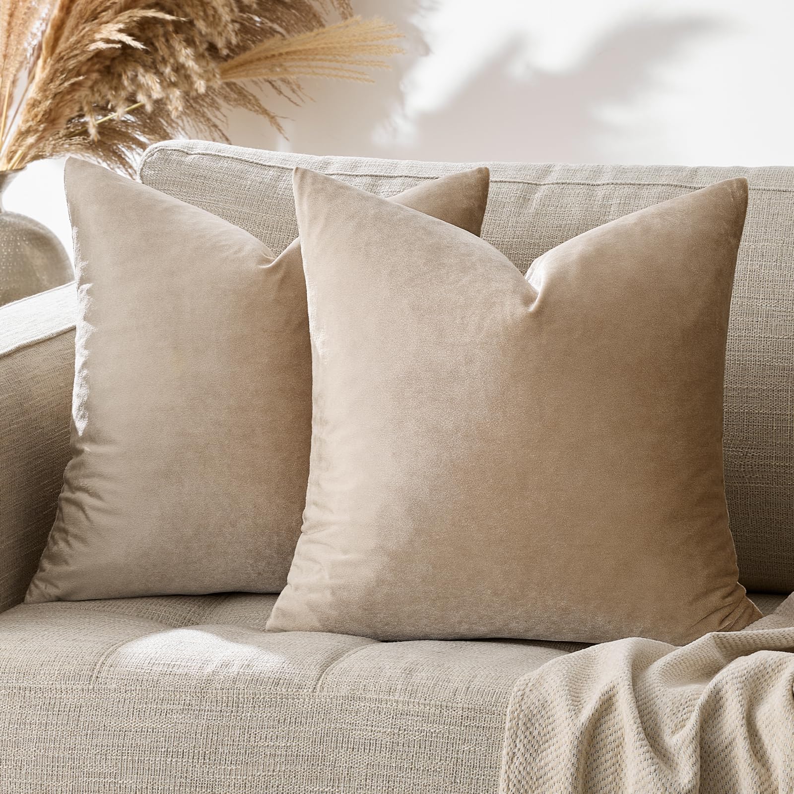 GIGIZAZA Decorative Throw Pillow Covers 20x20,Set of 2 Taupe Square Couch Pillow Covers,Velvet Sofa Boho Cushion Pillows