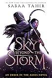 Cover of A Sky Beyond the Storm