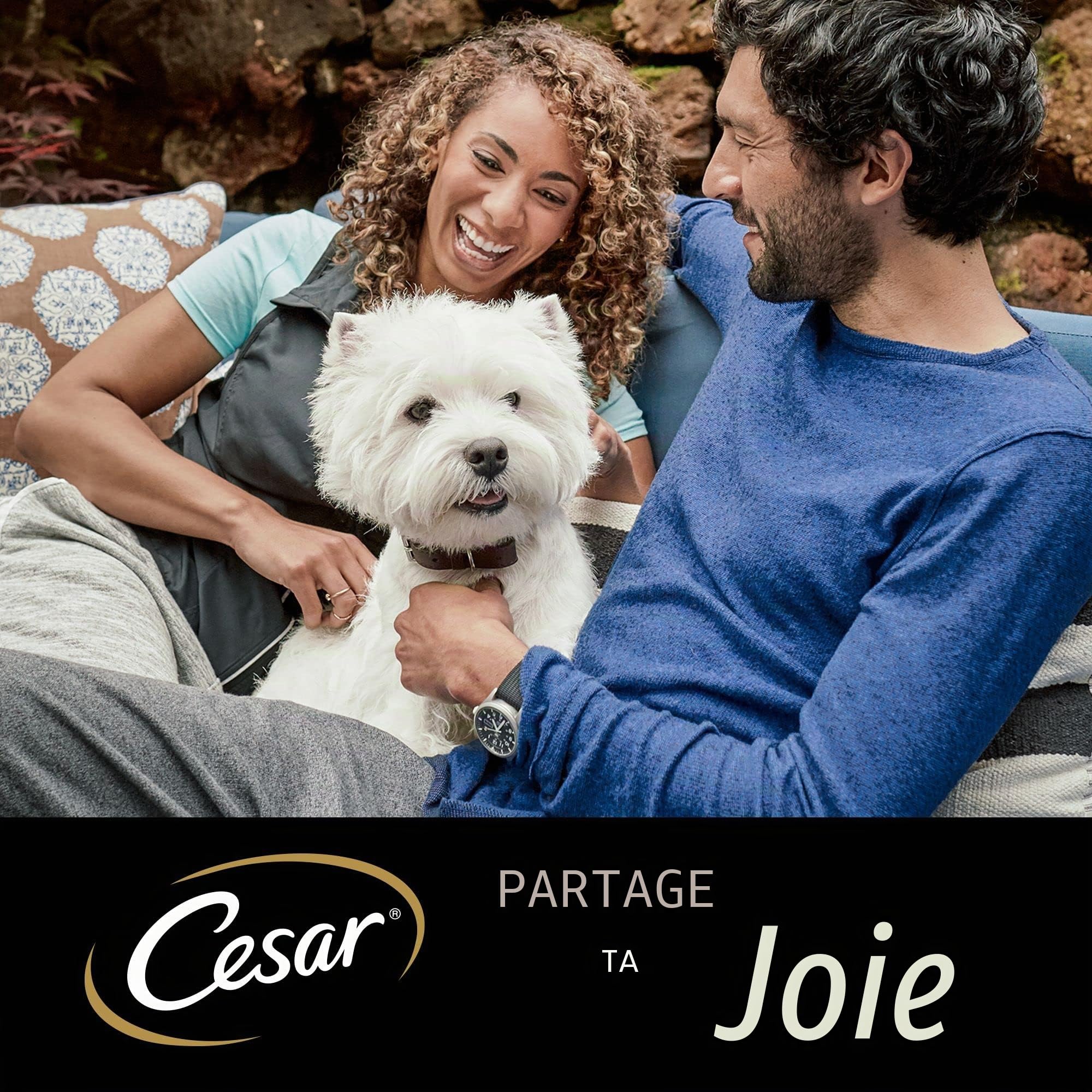 Cesar Nourriture Humide pour Chien Adulte Sélection en Sauce - 48 sachets - 12 x 100 g (Lot de 4) - Nourriture équilibrée de qualité supérieure pour Chien - Choix avec bœuf, Poulet, Agneau et Dinde