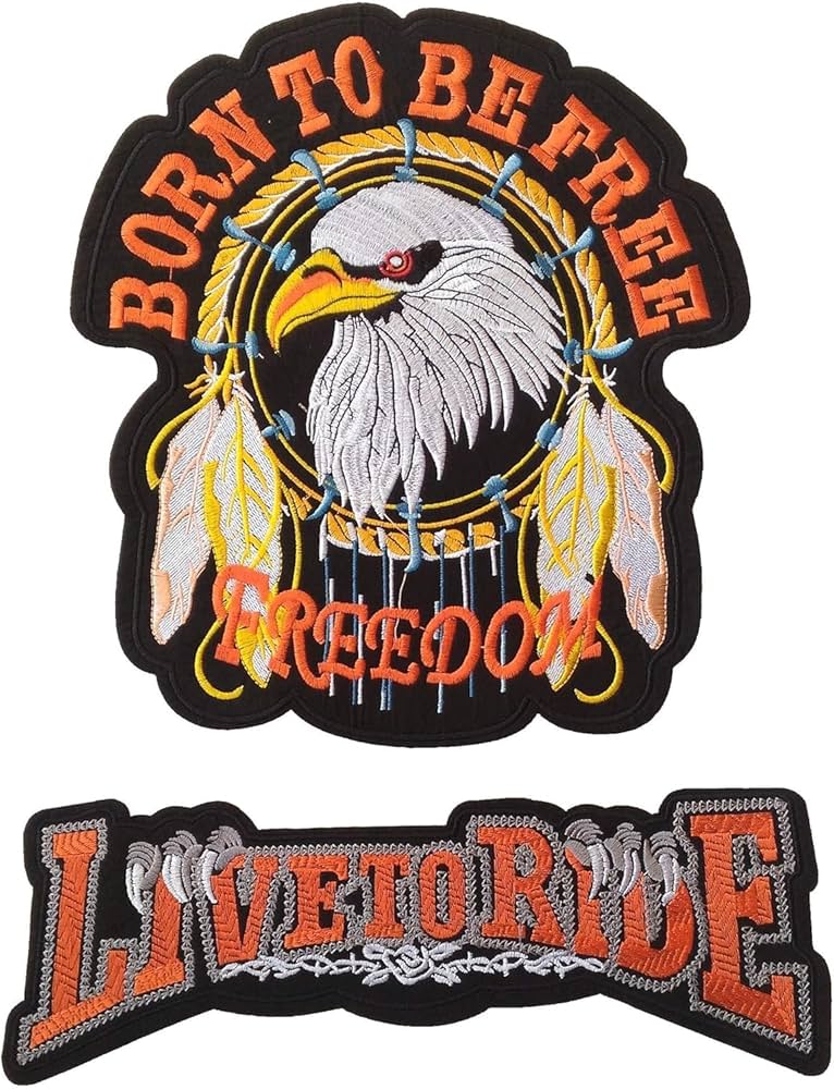 Amazon.co.jp: 大型 鷲 ワッペン ワシ わし アイロン 刺繍