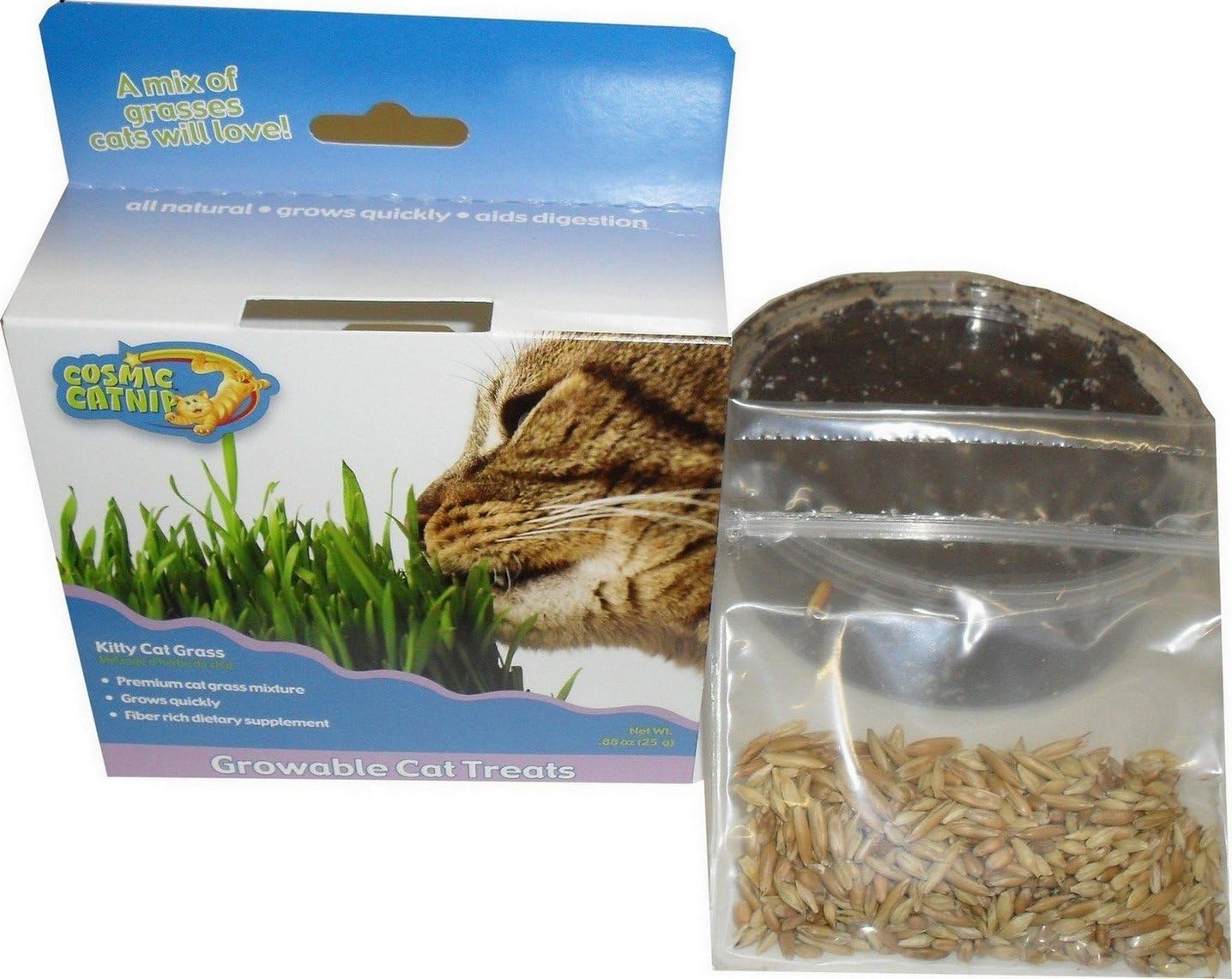 Cosmic Kitty Cat Grass