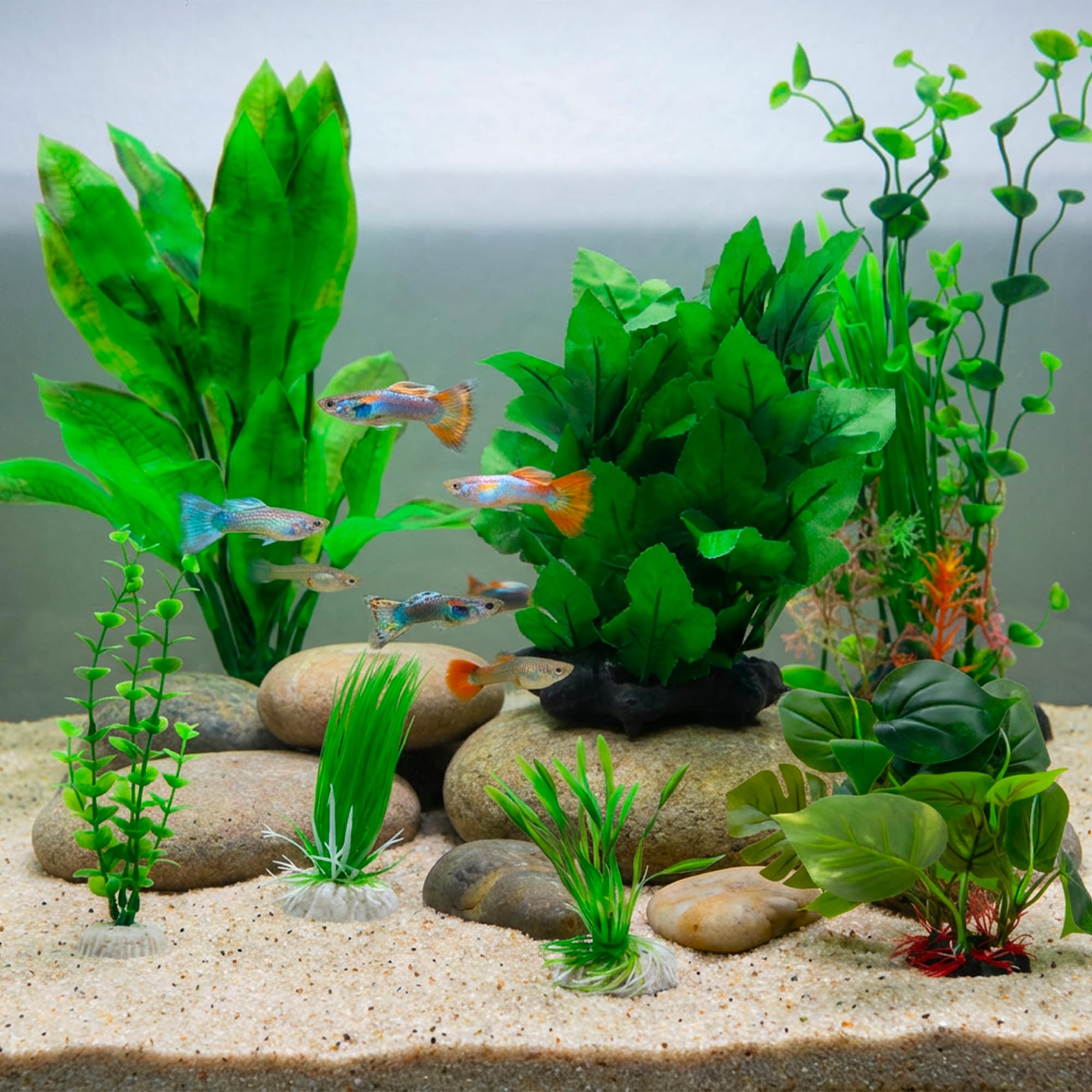 Amtra Wave Hygrophila Plante Réplique pour Aquariophilie 30 cm
