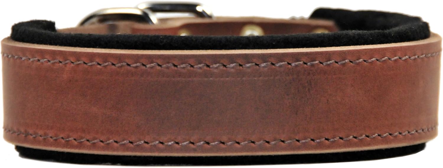 Dean & Tyler Delight Dog Collar with Felt Padding and Quality Leather from Netherlands, Fits Neck 36 to 40-Inch, Size 38 by 2-Inch, Brown