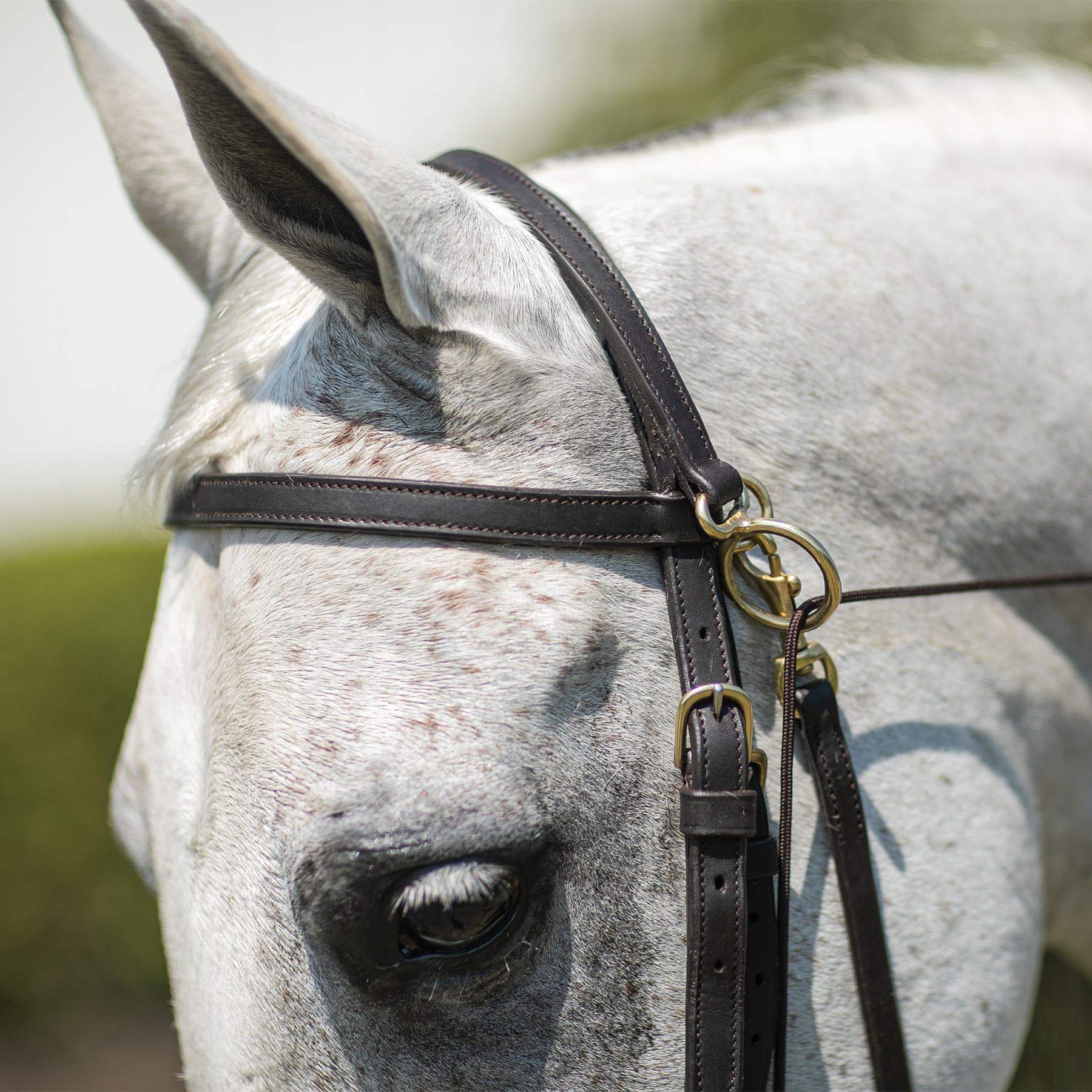 Billy Royal Arabian Horse Sidecheck Training Bridle | Snap On Bit Ends | Browband Style Tack | Measures 43