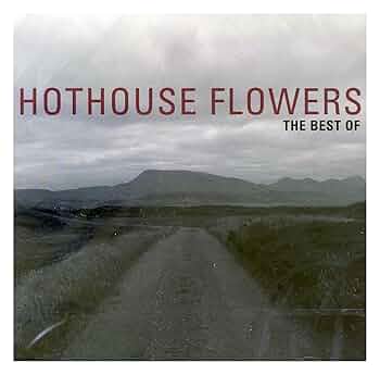 ◾️レア曲収録プロモ限定盤□HOTHOUSE FLOWERS / ホットハウス