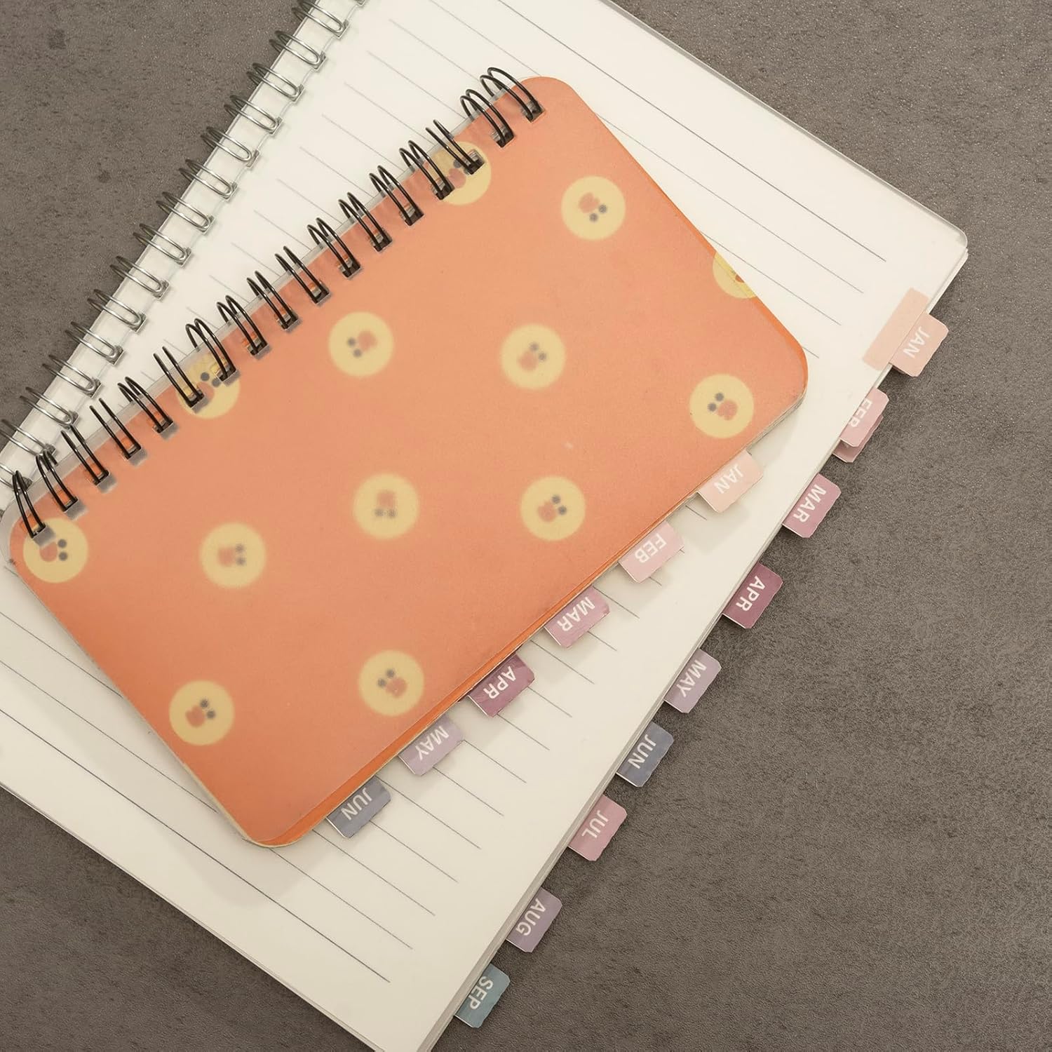 Lumintutu Laminated Planner Monthly Stickers,48 Adhesive Plan Tabs for Notebooks (2 Sets 12 Month Tabs and 24 Blank Tabs), Calendar Monthly Divider Set (Small Purple & Pink) image 2