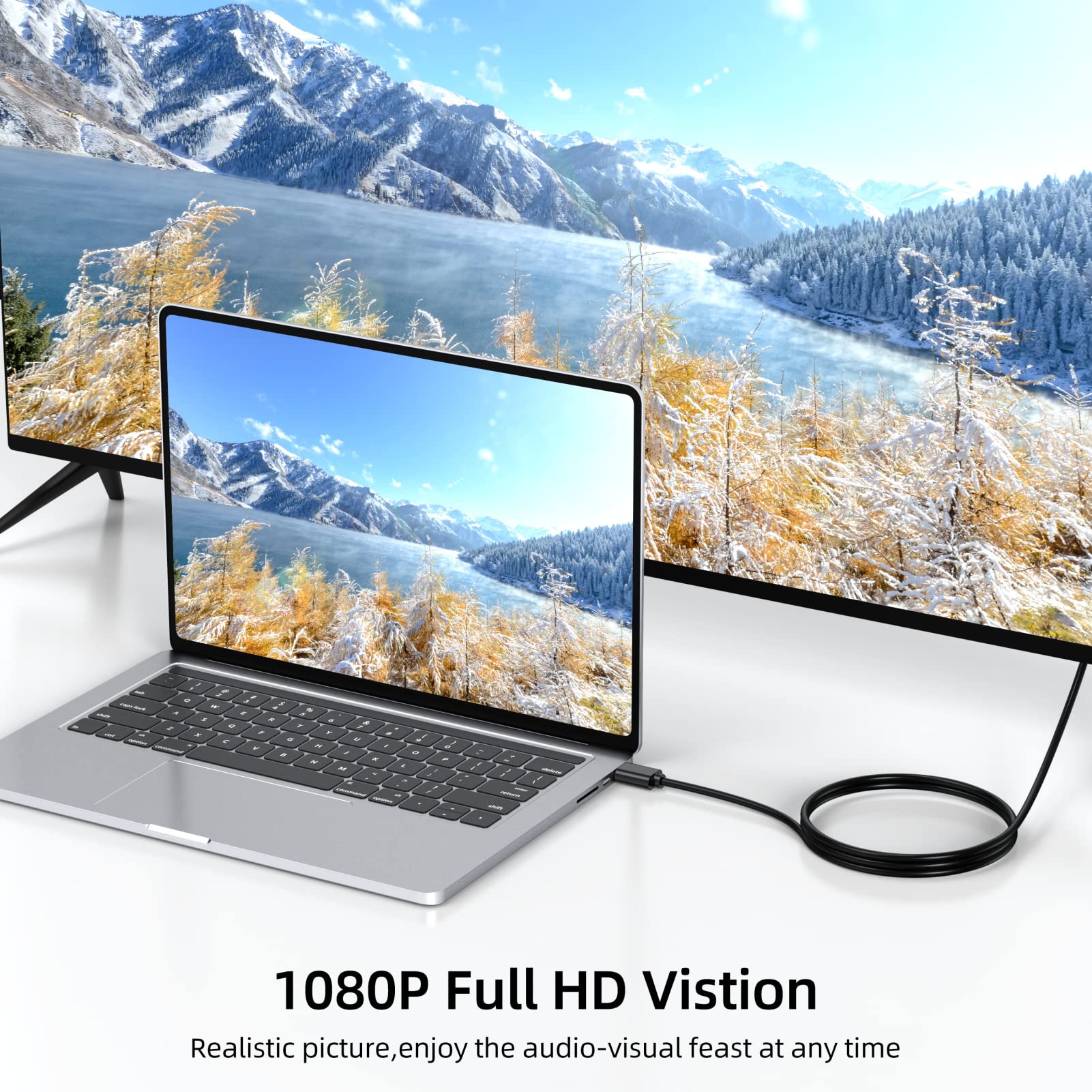 Adaptador HDMI a VGA (10, 3 pies)
