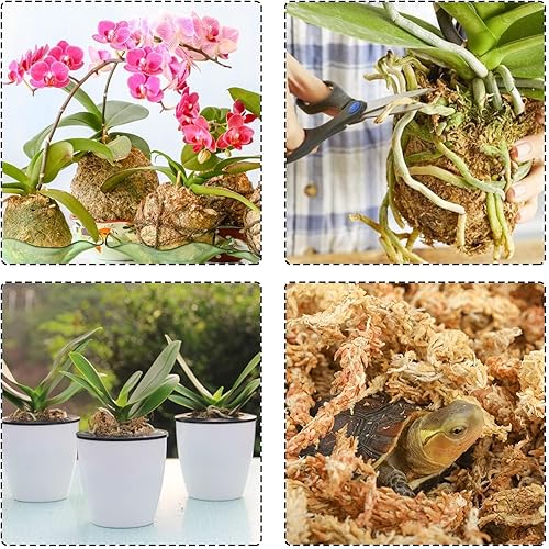 Miniatura 14 de Halatool Musgo natural de esfagno de 4.4 libras para plantas, 85 cuartos de galón, turba de primera calidad, secado con musgo de fibra larga, musgo