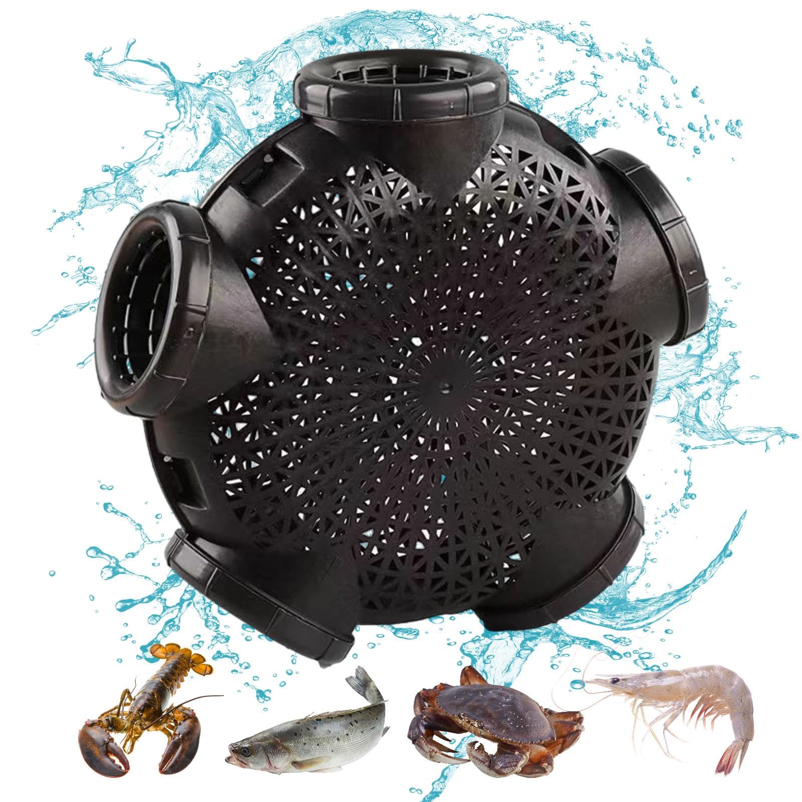 Trappola per esche da pesca, Trappola per aragoste, Gabbia per anguilla e gamberetti a 5 fori, Trappole per gamberetti Anguilla, robuste e facili da usare, leggere, per catturare piccoli pesci con esc