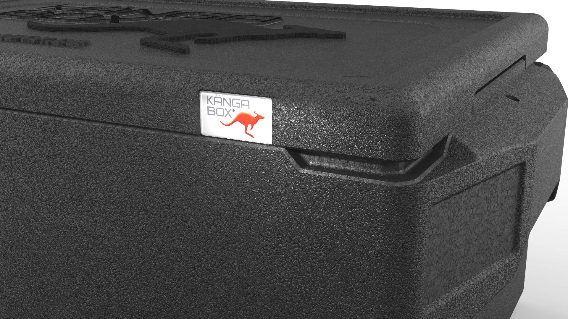 Professional GN 1/1 schwarz 48L Comfortgriff – Thermobox für Essen, Styroporbox-Alternative, Warmhaltebehälter & Kühlbox, hygienisch, temperaturbeständig von -40 °C bis +120 °C