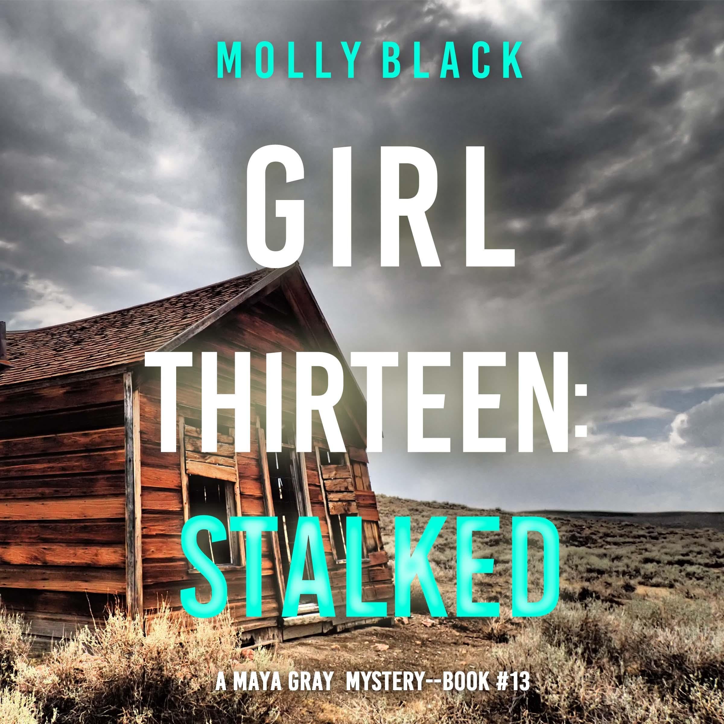 Girl Thirteen: Stalked