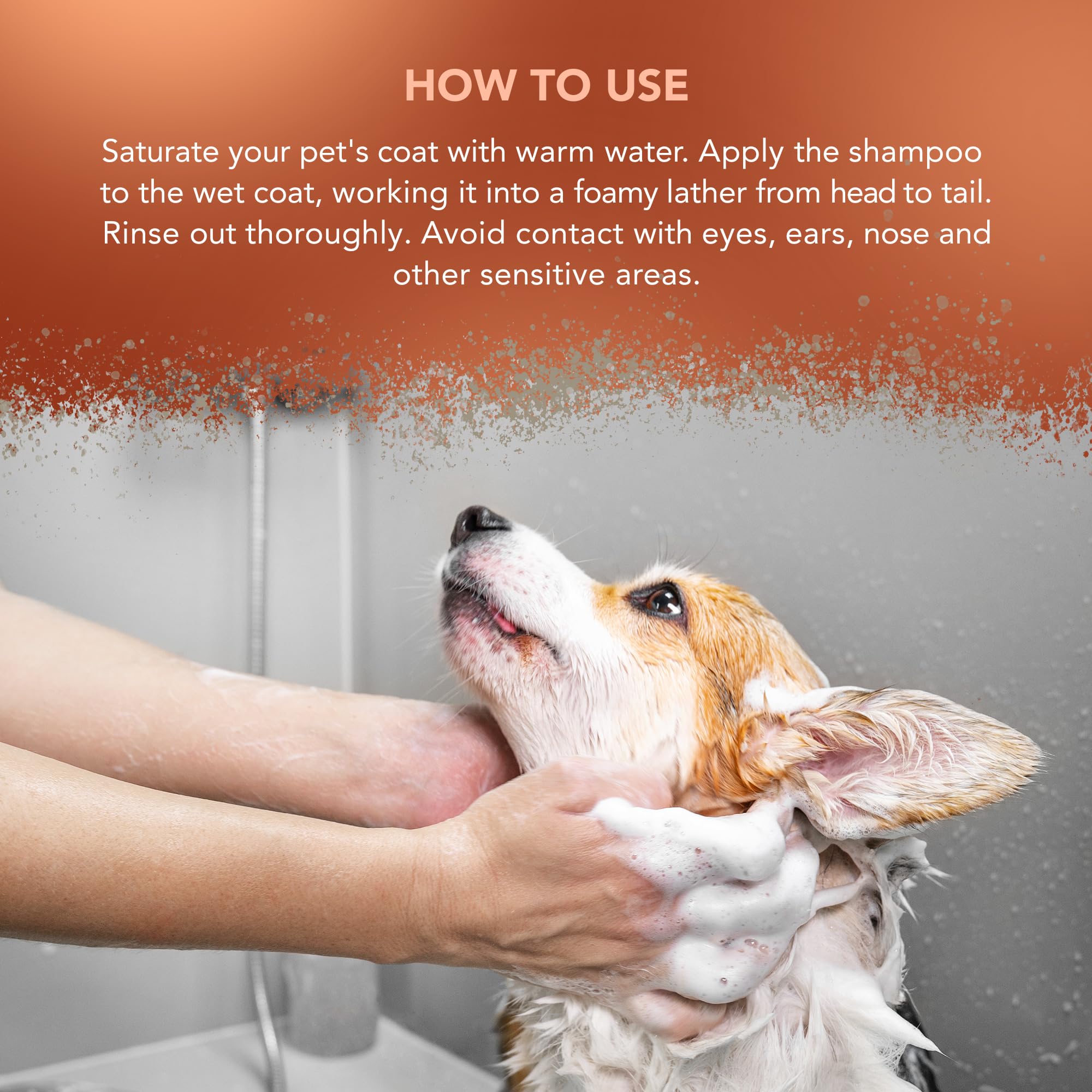 WAHL Dirty Beastie Dog Shampoo - 5 litri, concentrato 32:1, formula vegana per manti sporchi, folti o arruffati, pulisce e deodora