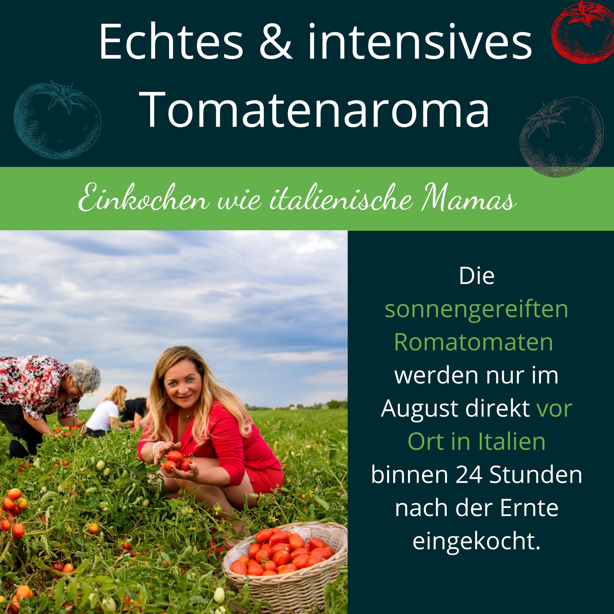 Hermina Salsa Paradiso I FEINKOST PASTASAUCE (Mild) I 6 x 290 g I 100% Natürlich I Tomatensauce direkt aus Italien