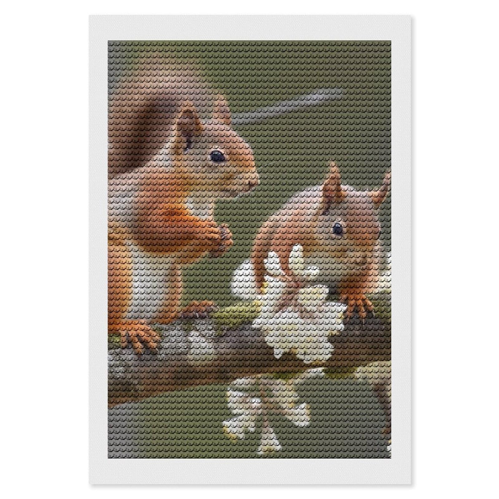 Squirrels Diamond Art Kits for Adults, DIY 5D Diamonds Painting Kits for Beginner, Round Full Drill Diamond Dots Painting, Diamonds Pictures Gem Art and Crafts Wall Decor 8"x12"