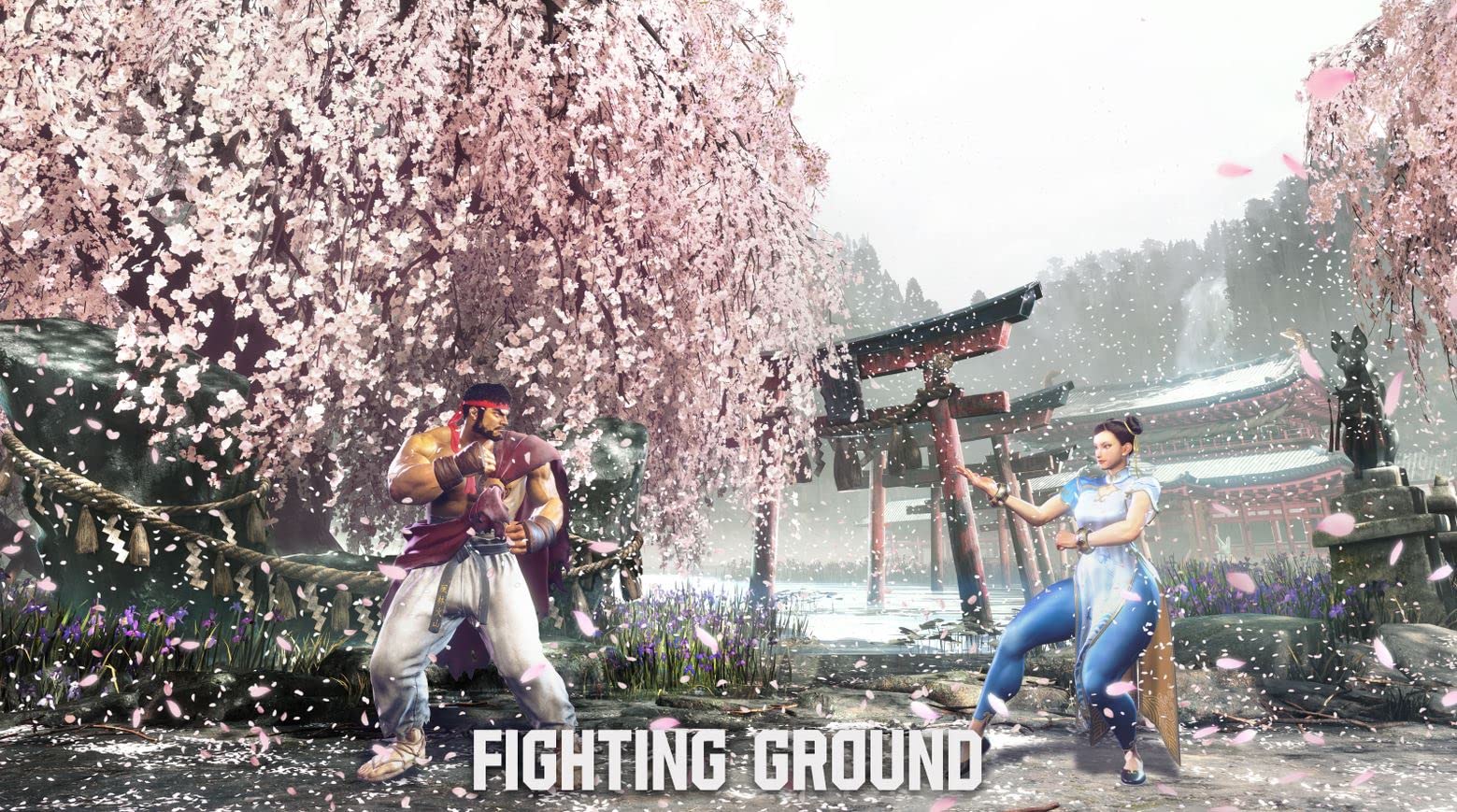 Street Fighter 6 Lentic. Ed. PS5 IT/ESP