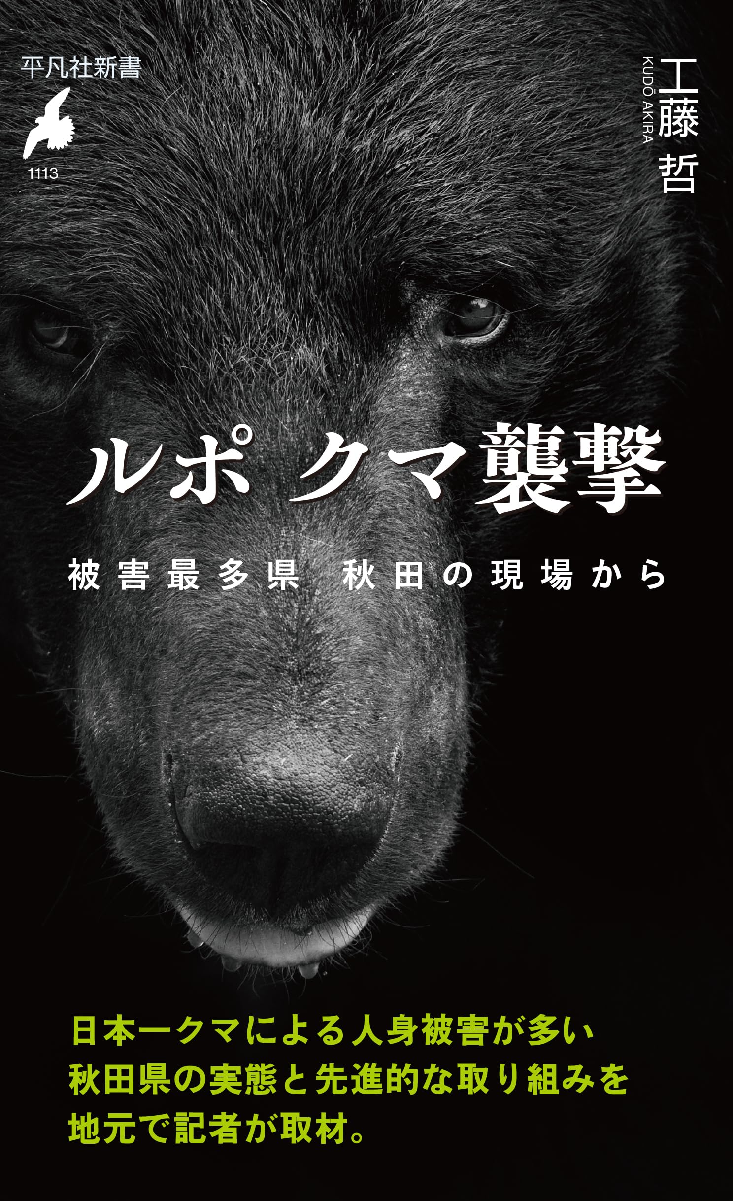 Amazon.co.jp: ルポ クマ襲撃: 被害最多県 秋田の現場から (1113