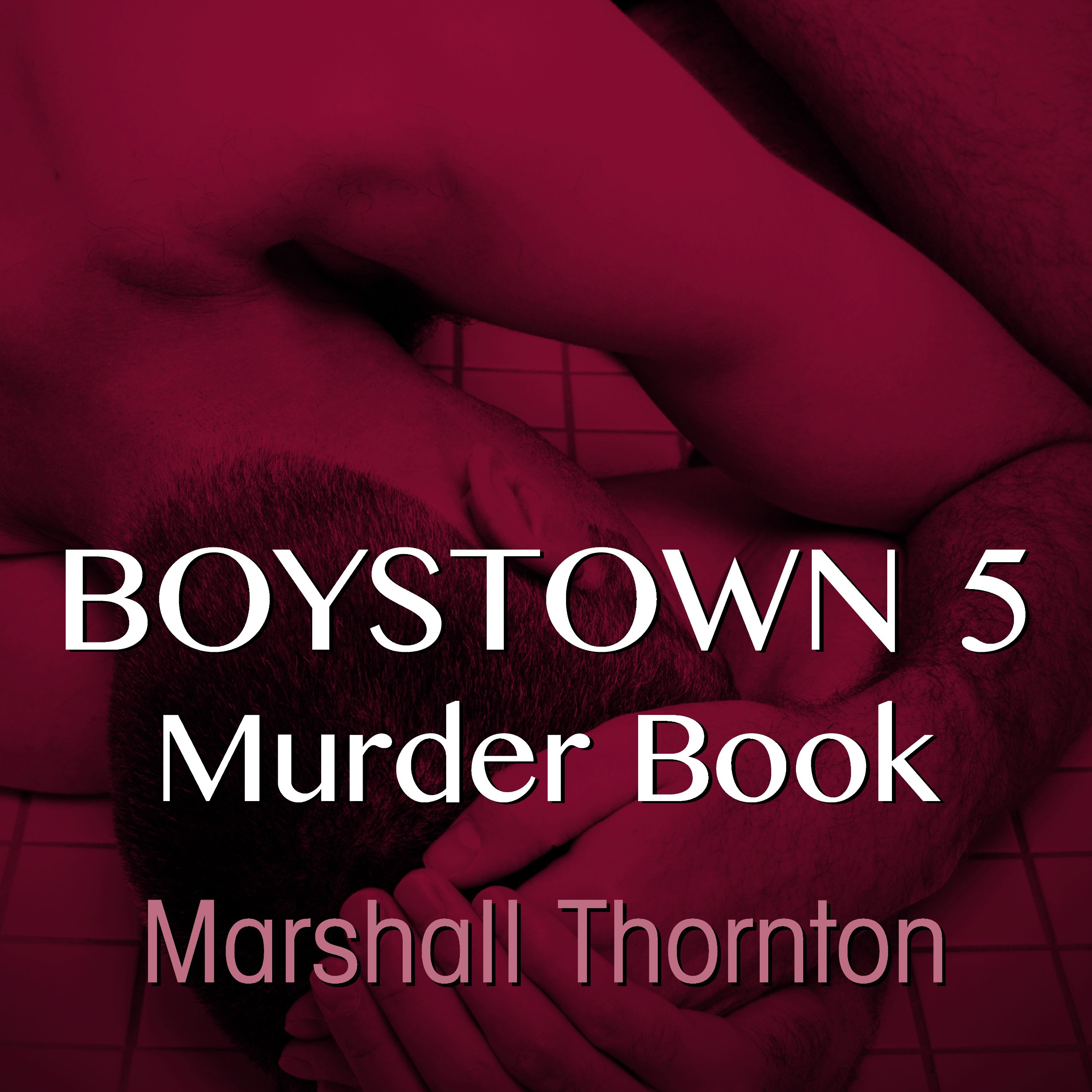 Cover art for Murder Book