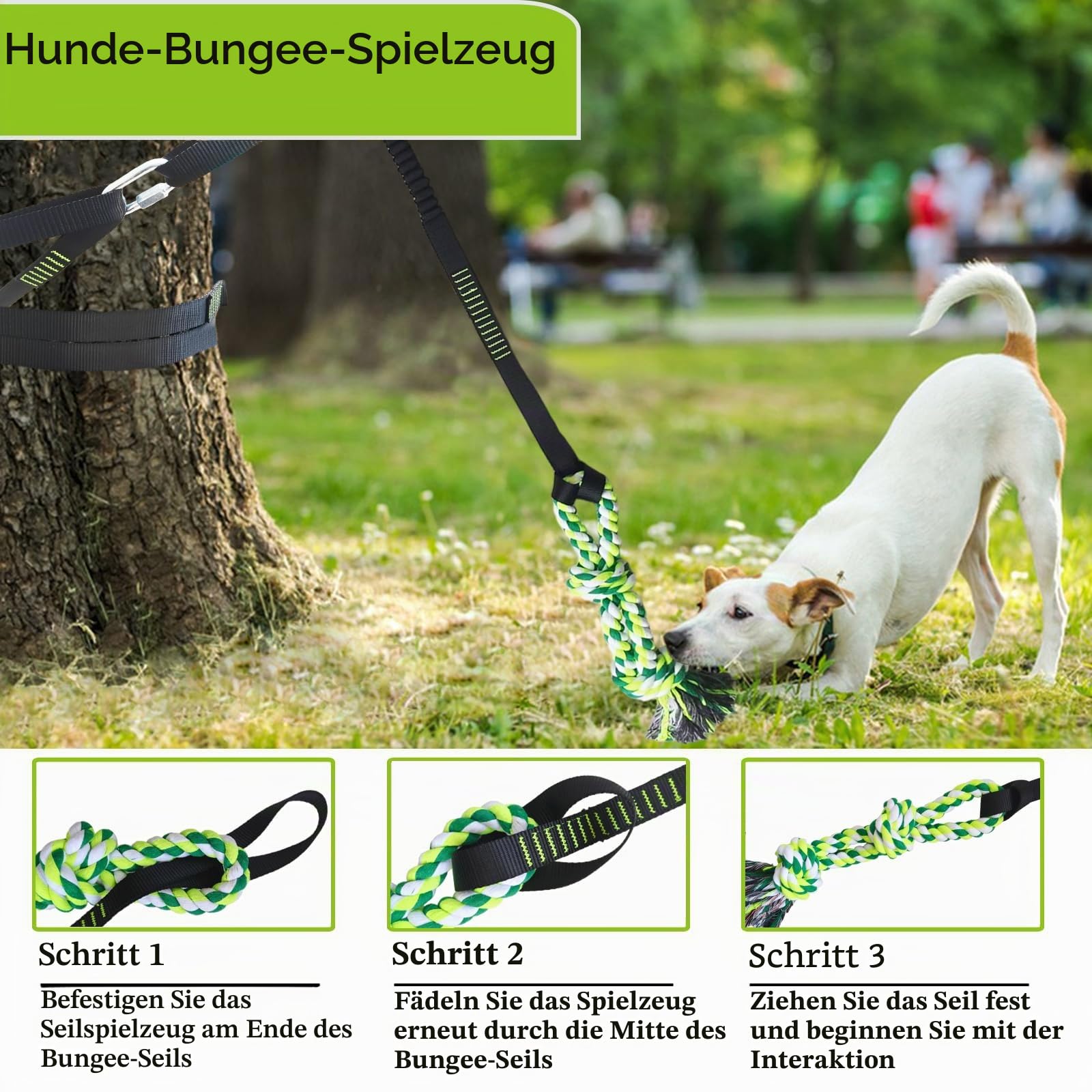 Bungee-Ziehspielzeug für Hunde, Outdoor Hundespielzeug zum Aufhängen mit 2 Kauseilen, Interaktives Tau Spielzeug Hunde Seil für Training Ziehen