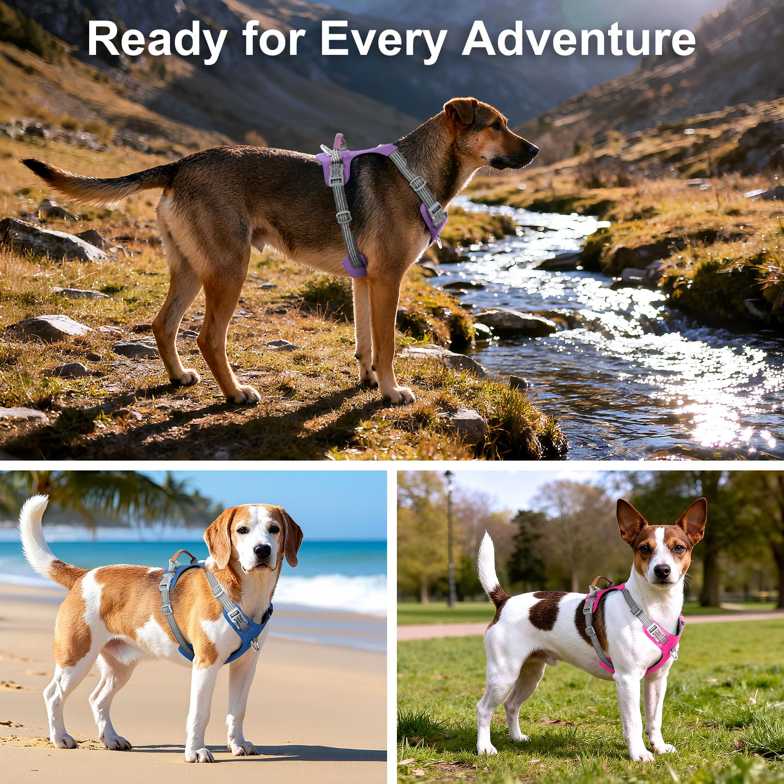 No Pull Dog Harness – Adjustable Reflective Nylon Vest for Small Medium Large Dogs, Escape Proof Training Harness with Leather Control Handle, Lightweight Aluminum Hardware (Purple, M) - image 8