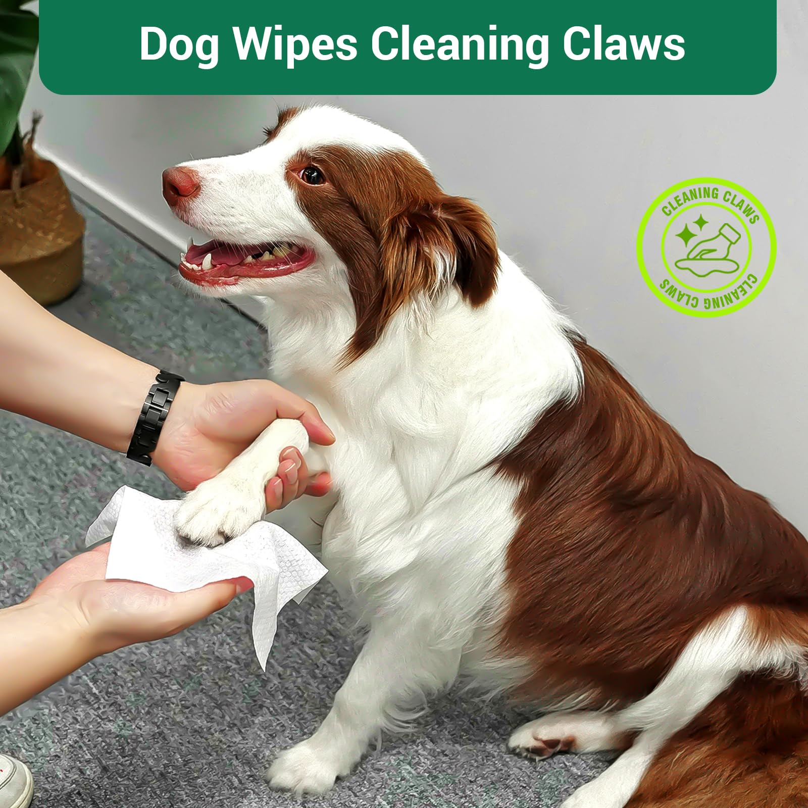 400 Salviette per cani non profumate per zampe e glutei Salviette spesse per cuccioli di grandi dimensioni per cani viso e corpo salviette per cani per pulizia deodoranti per gatti salviette per la