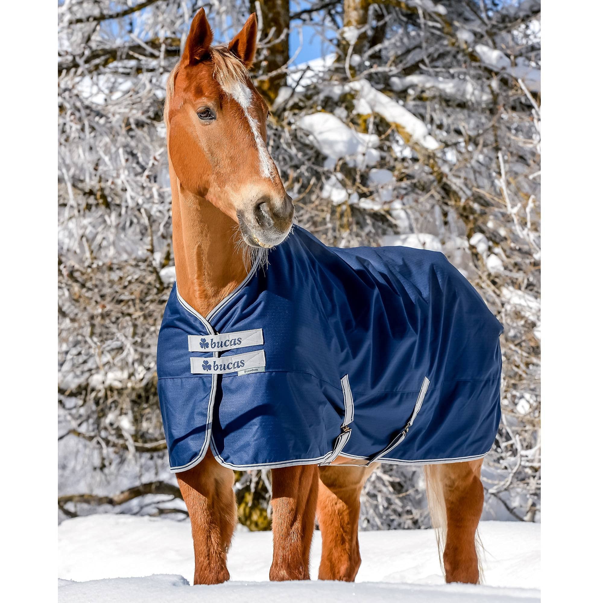 BucasFreedom Medium Turnout Blanket 75 Navy