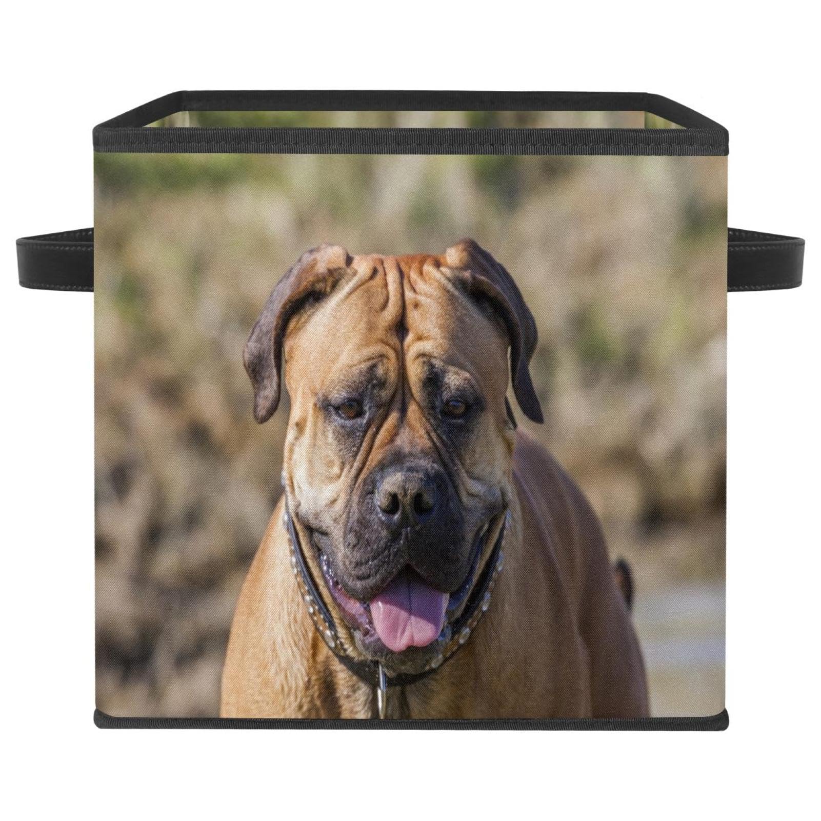Organiseur pliable en tissu grand format motif chien Bulldog