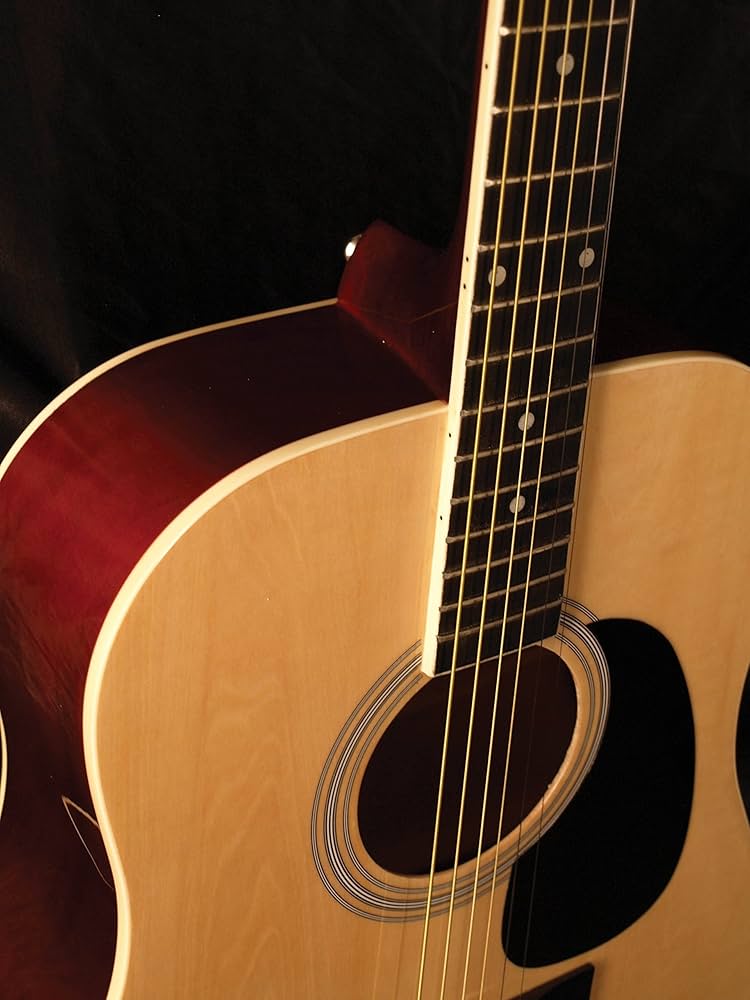 Amazon | INDIANA Scout Deluxe S-SCOUT-N アコースティック