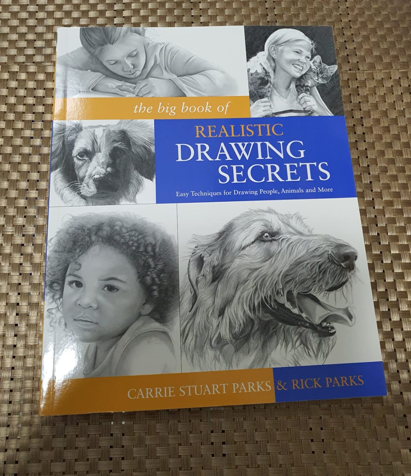 The Big Book of Realistic Drawing Secrets: Easy Techniques for drawing ...
