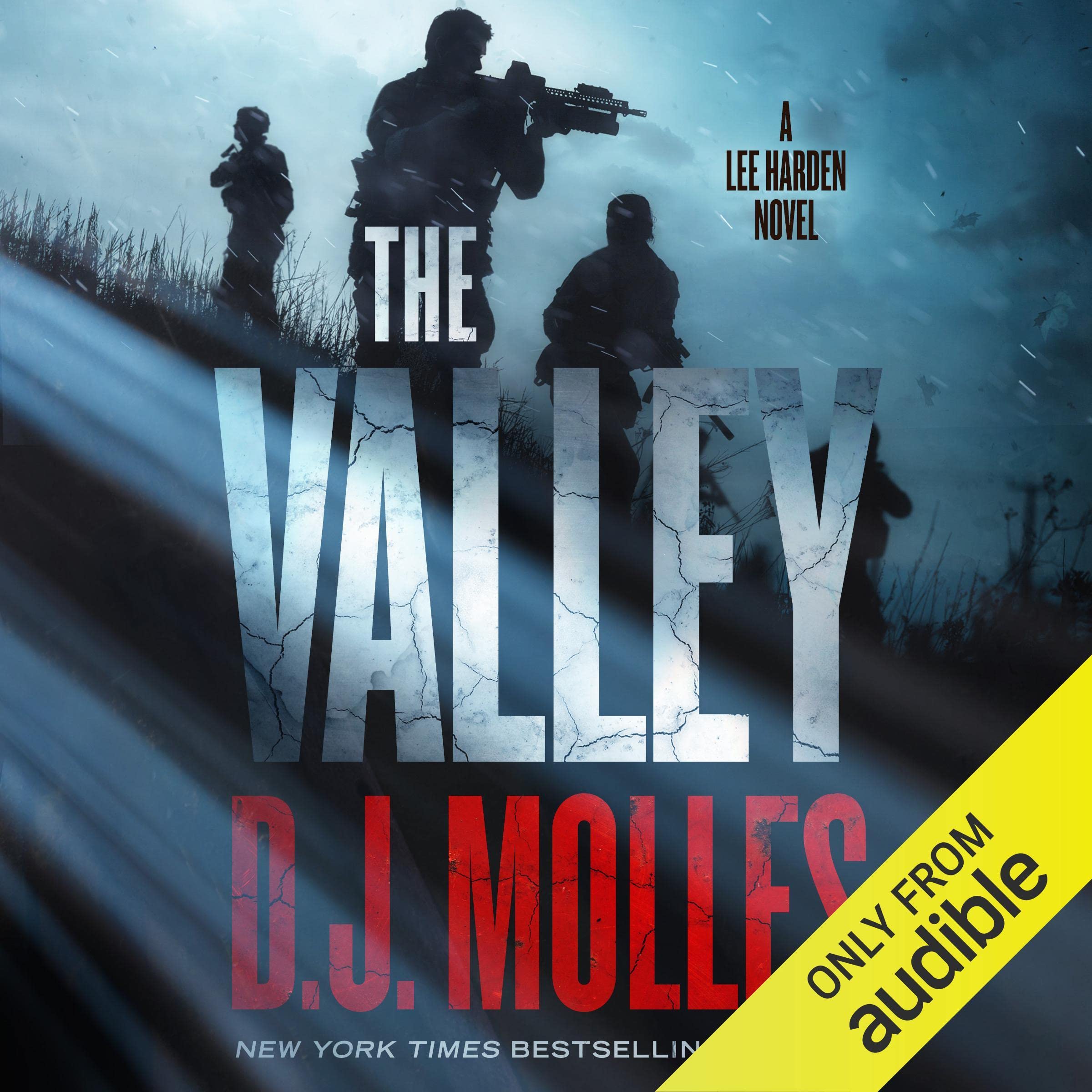 The Valley: A Lee Harden Novel (Lee Harden Series (The Remaining Universe))